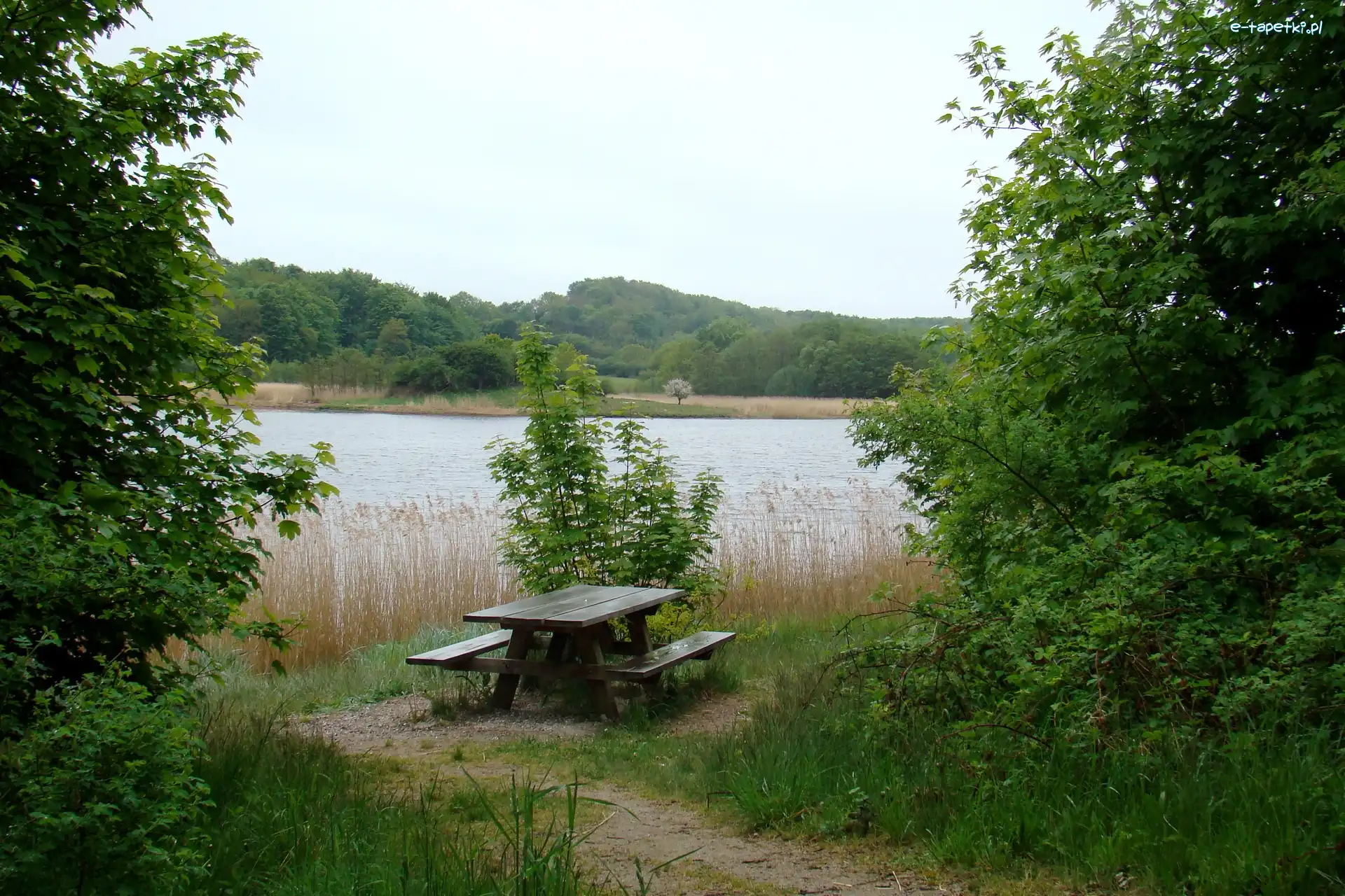 Drzewa, Ławeczka, Jezioro