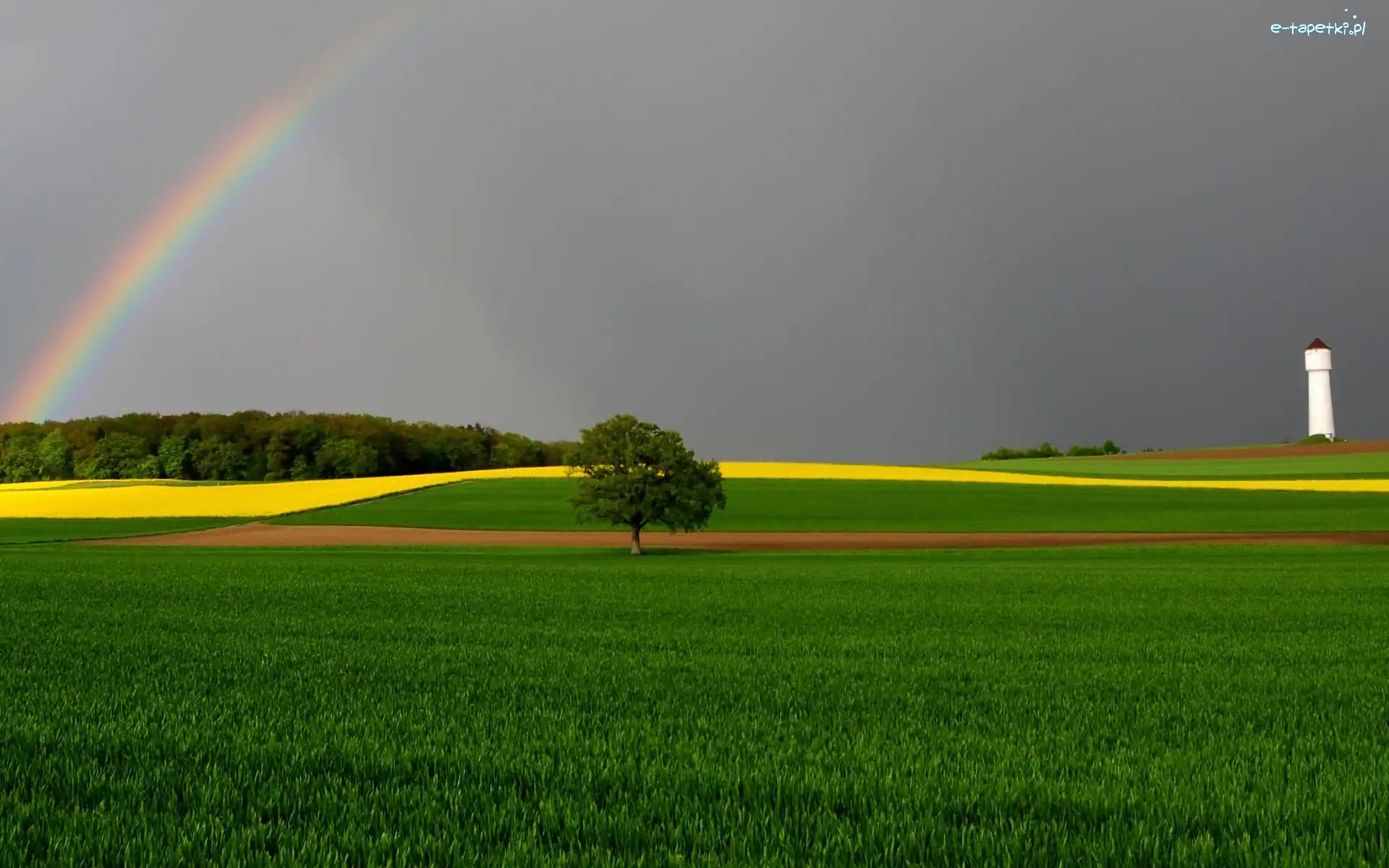 Tęcza, Wieża, Drzewo, Pola