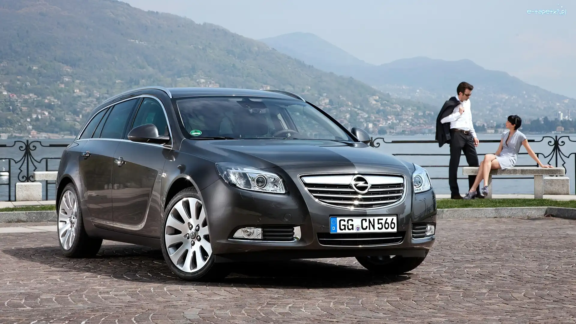 Góry, Opel Insignia, Szary