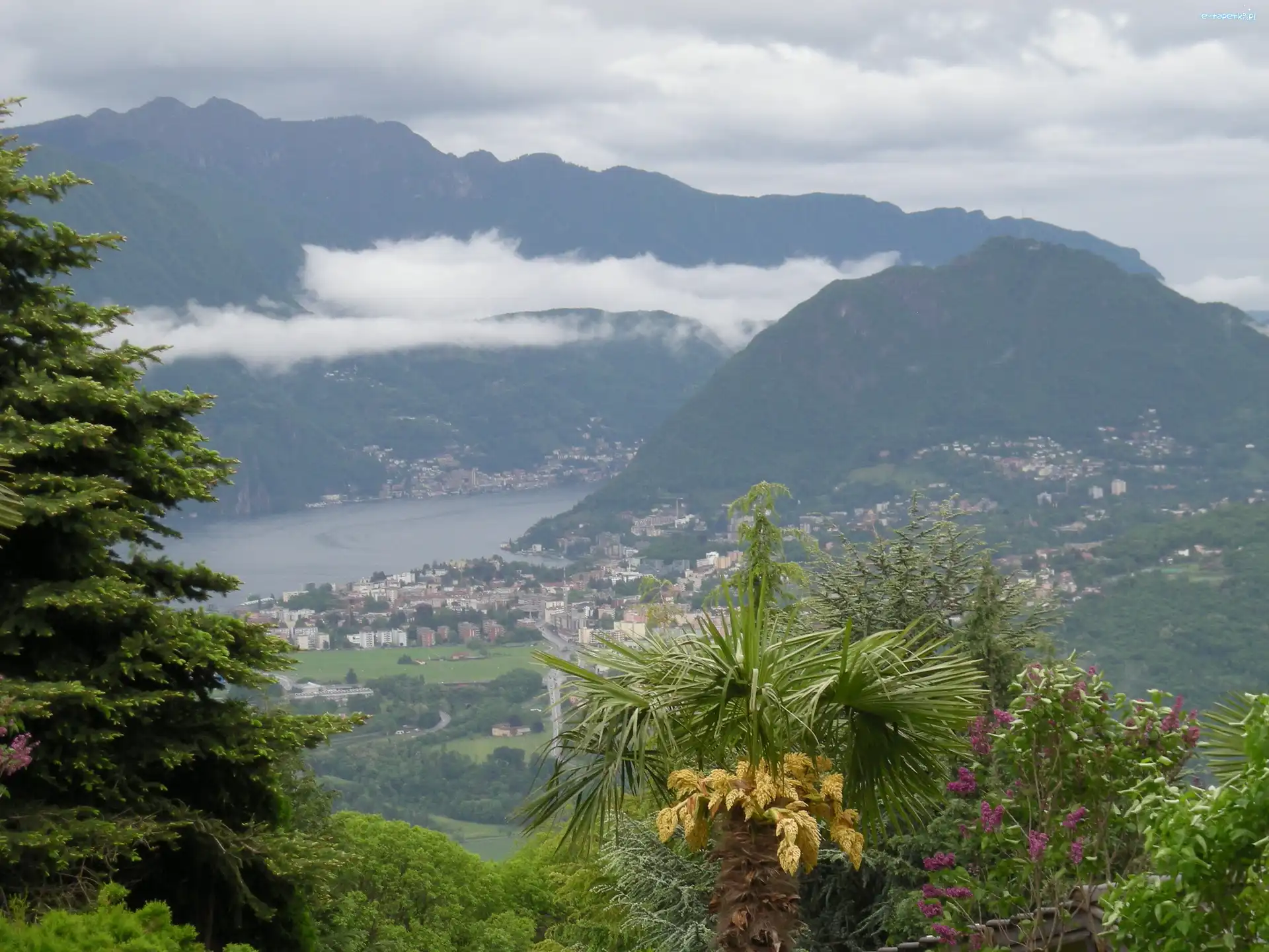 Gór, Palmy, Chmury, Panorama