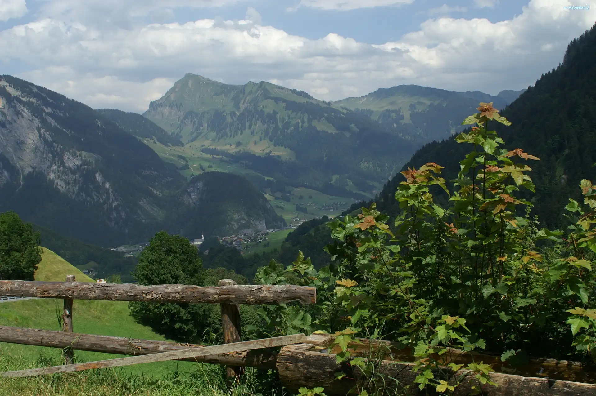 Austria, Rośliny, Zagroda, Au Vorarlberg