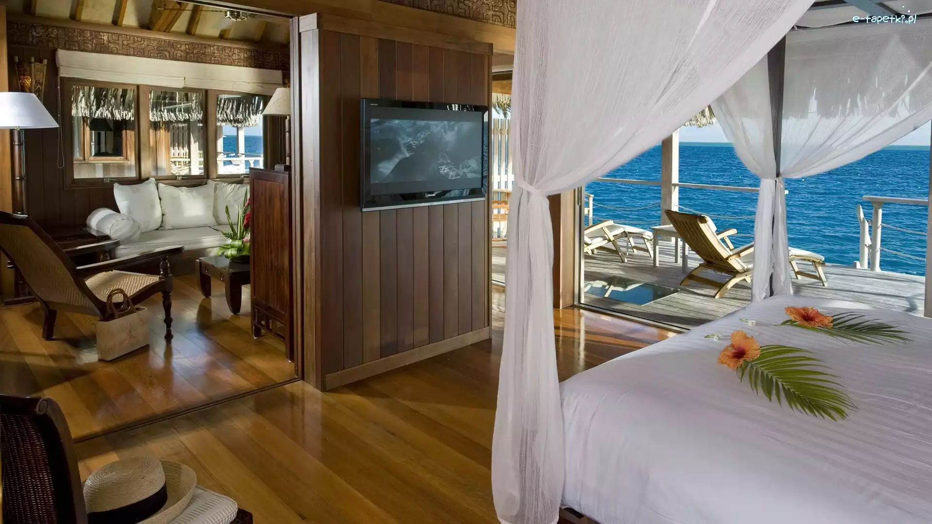 Hotelowy, Ocean, Taras, Pokój