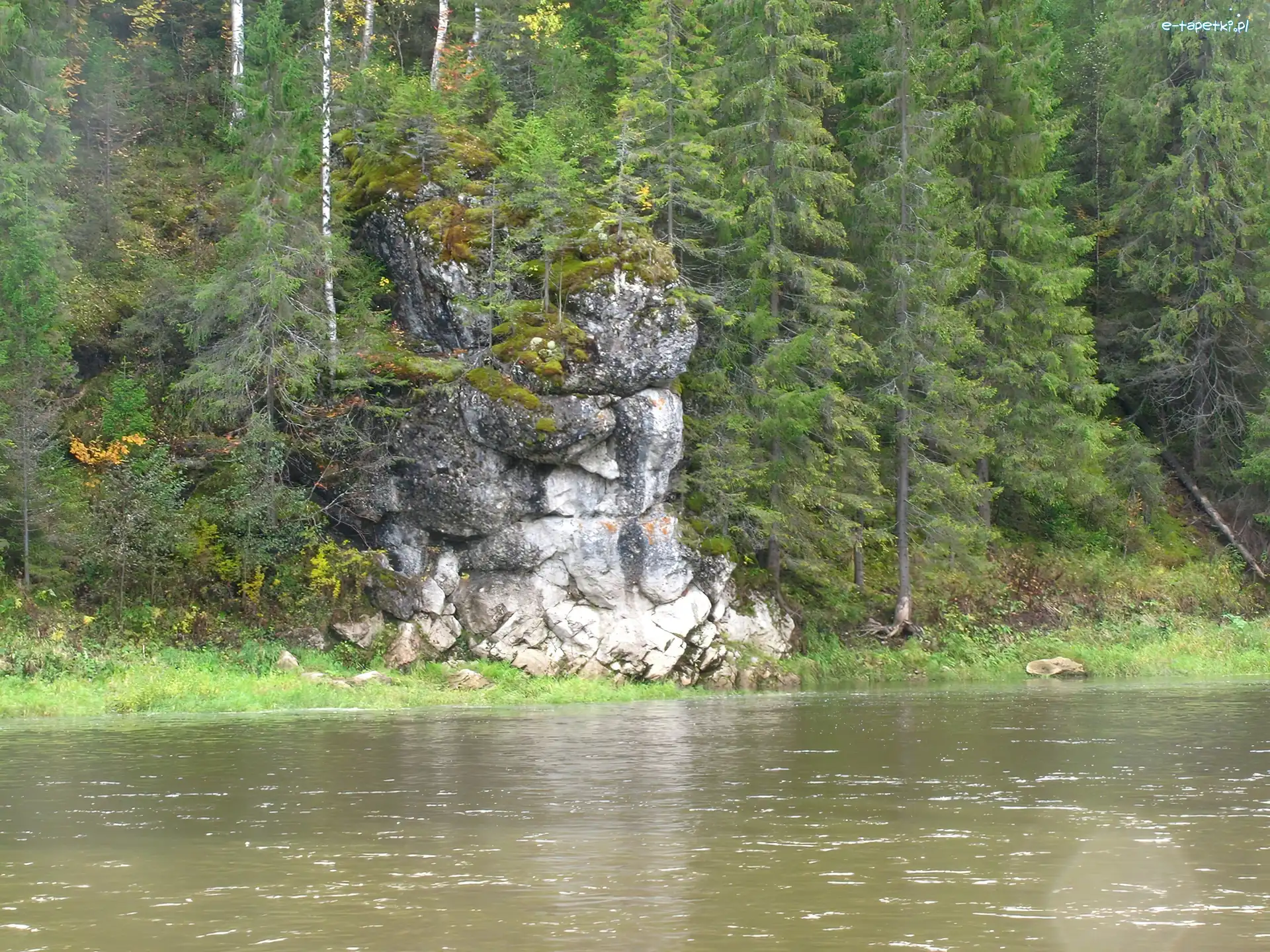 Las, Skały, Rzeka