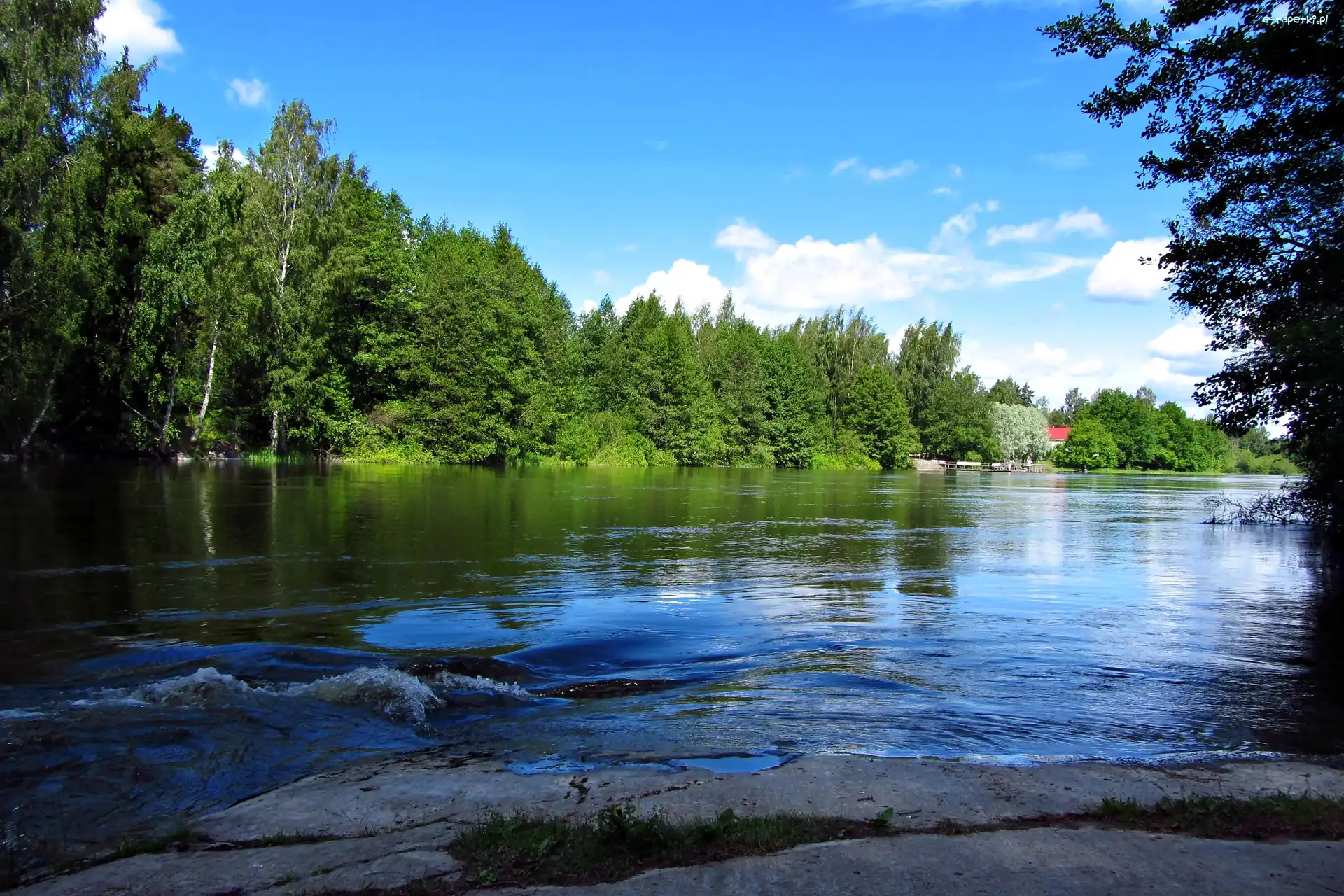 Lasy, Rzeka