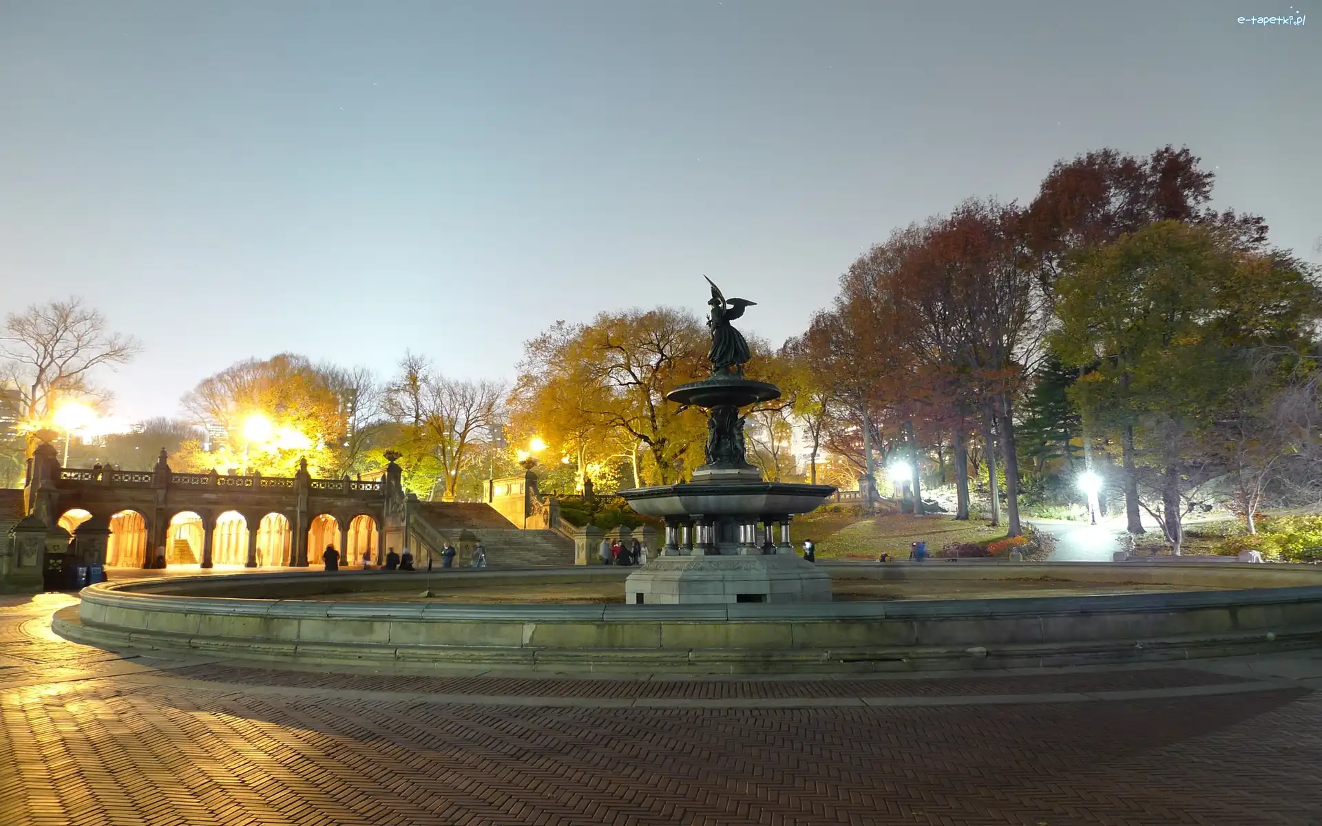 Park, Światła, Noc, Fontanna