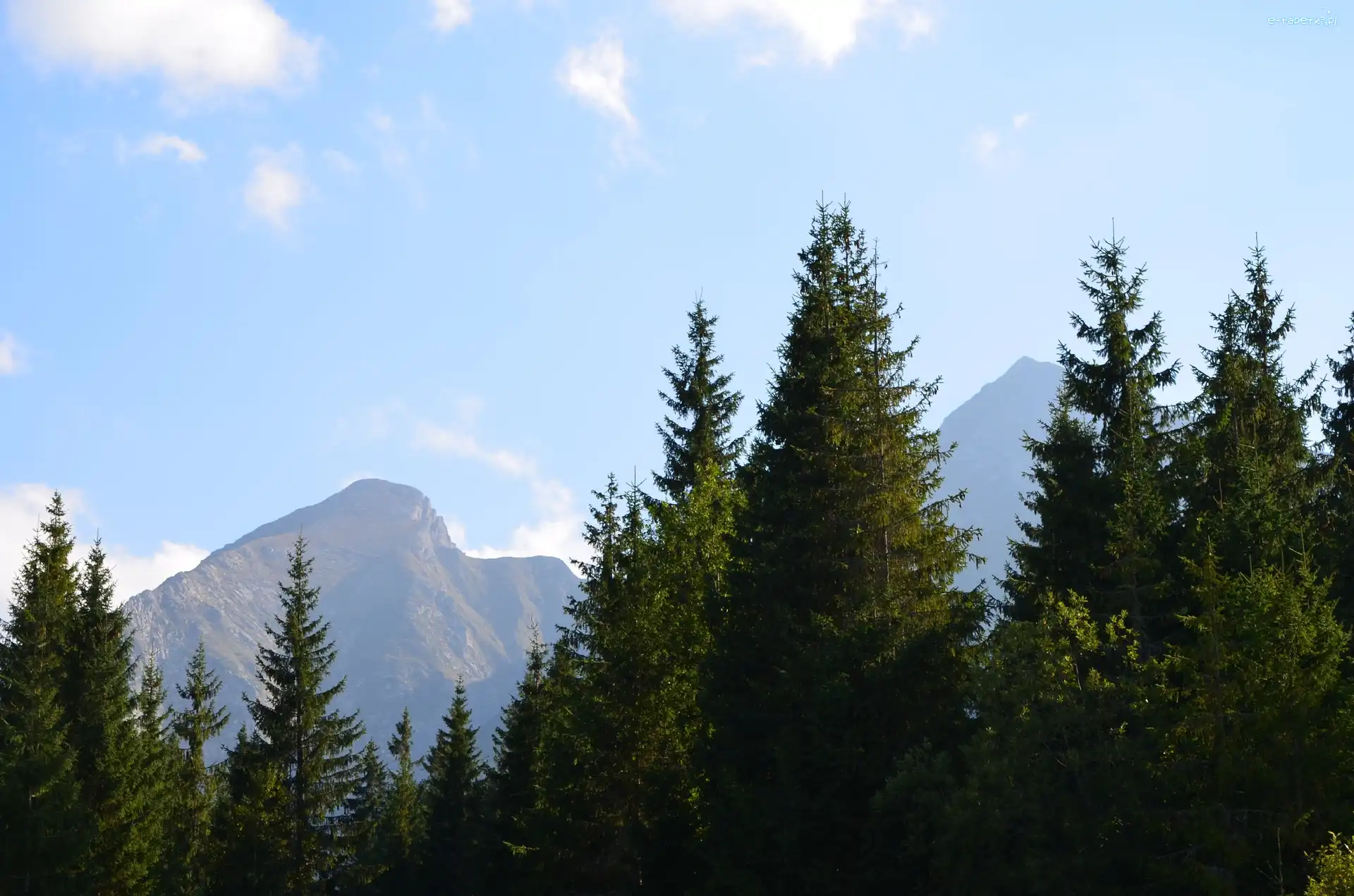 Niebo, Góry, Drzewa