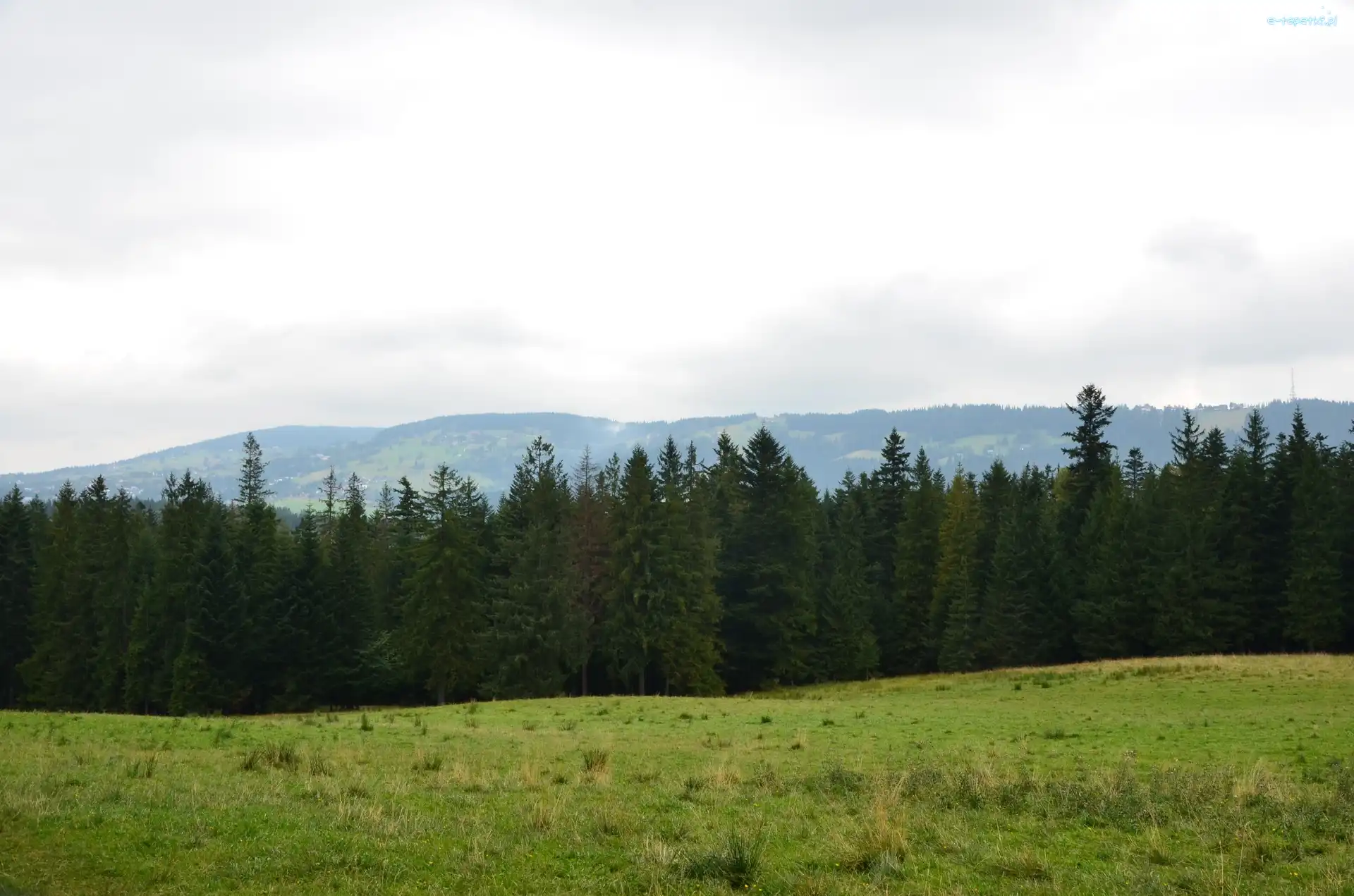 Polana, Gubałówka