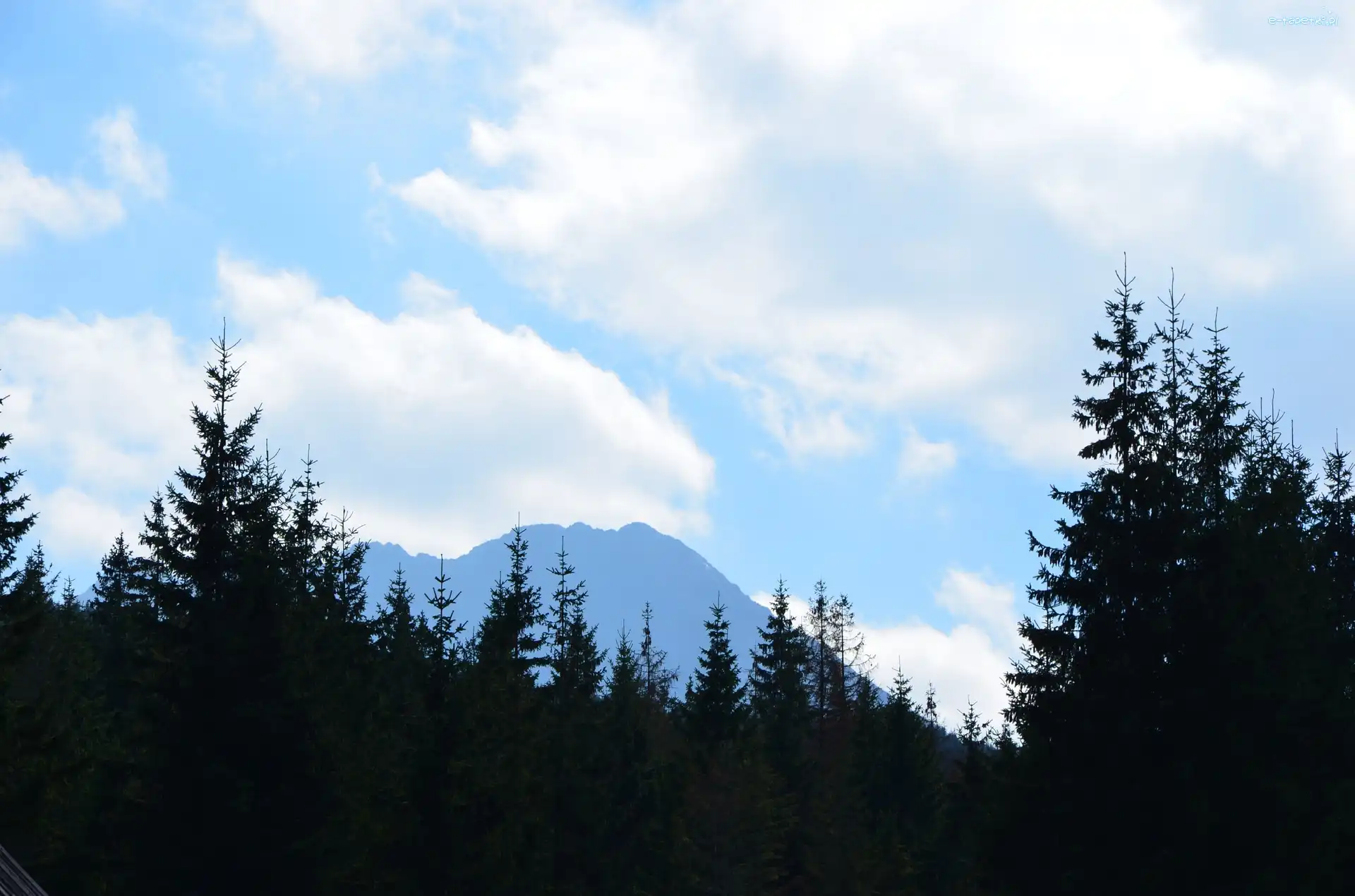 Niebo, Drzewa, Góry