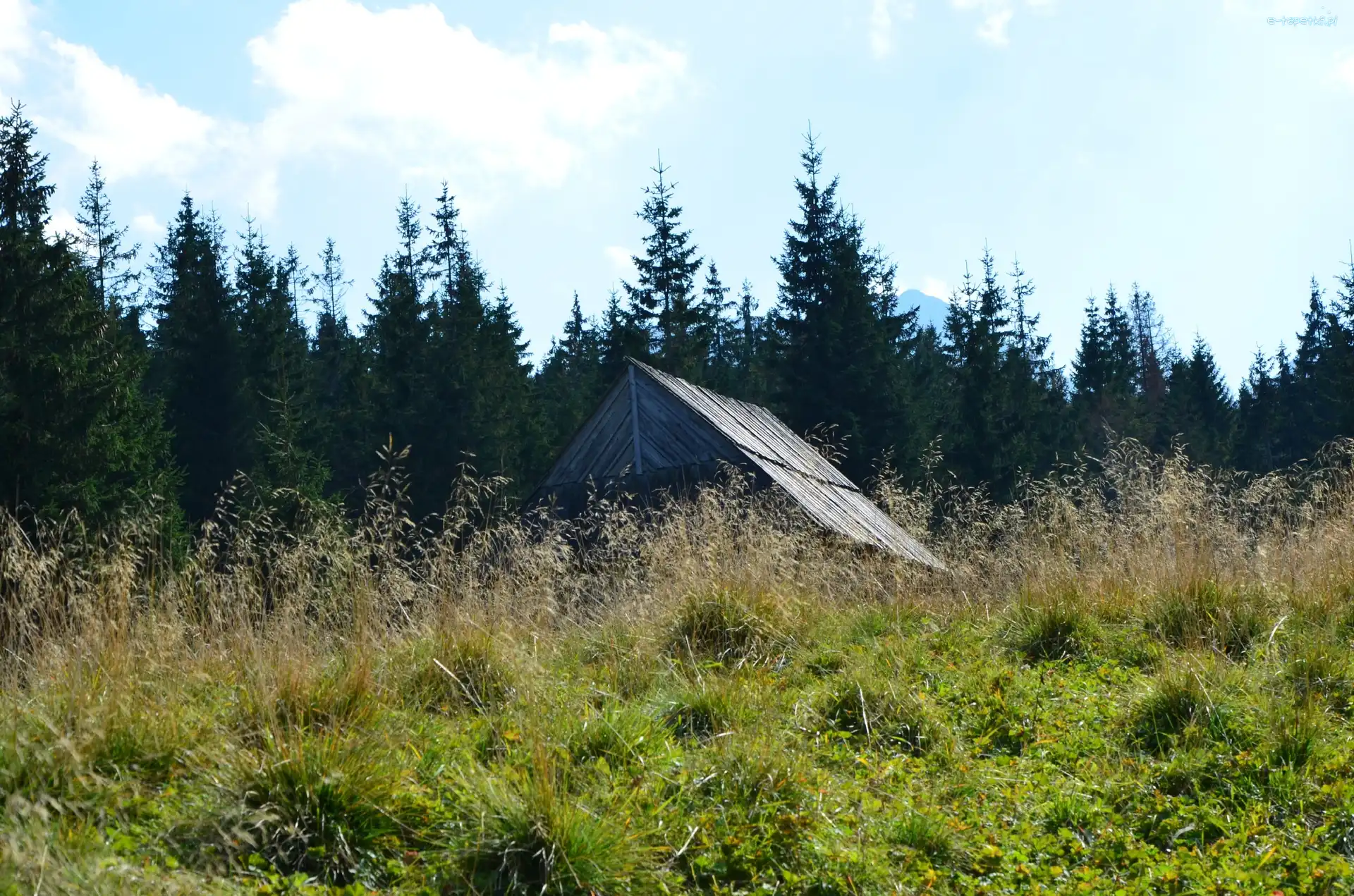 Bacówka, Trawa, Niebo