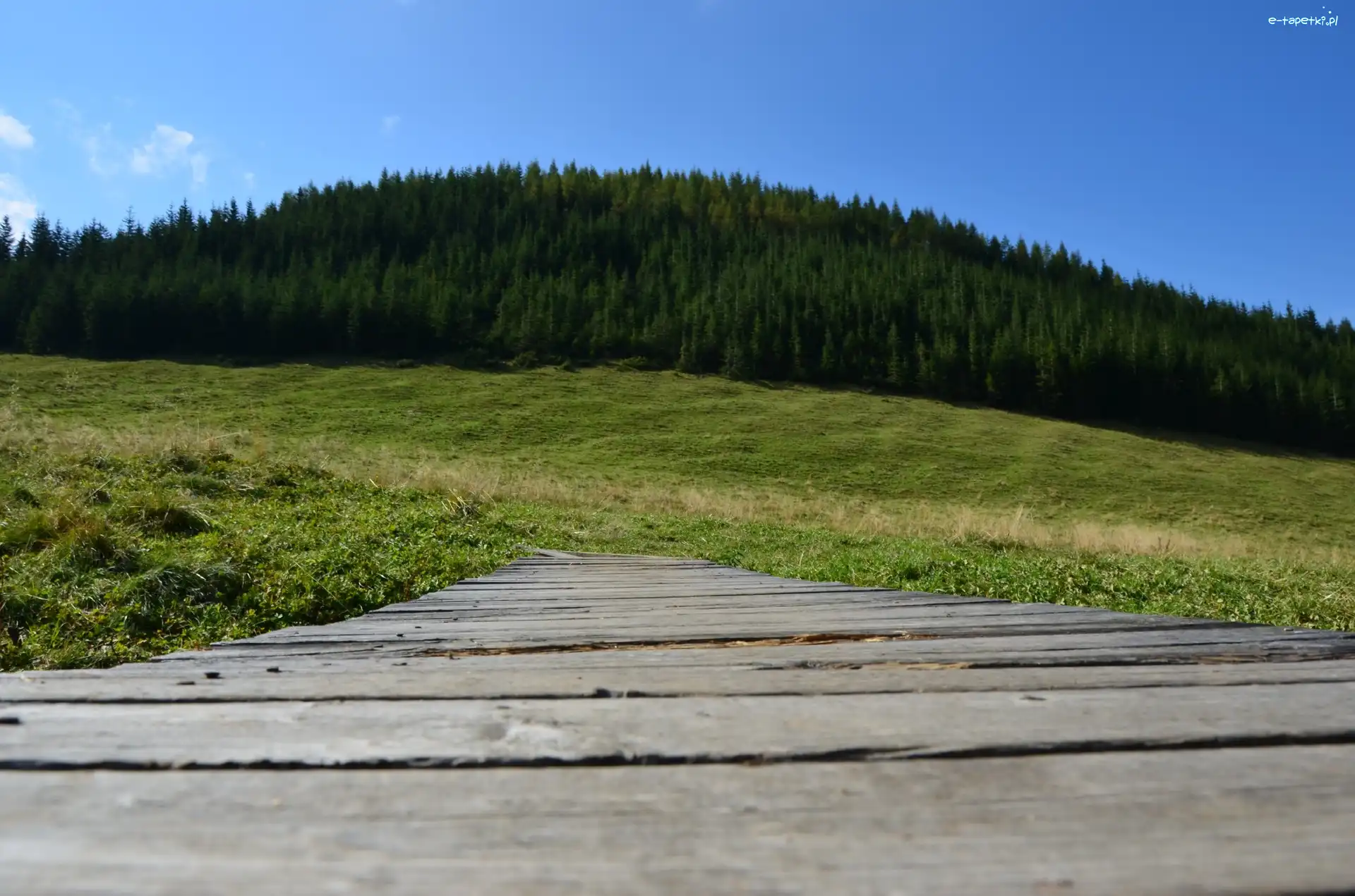 Łąka, Drewniany, Mostek, Zakopane