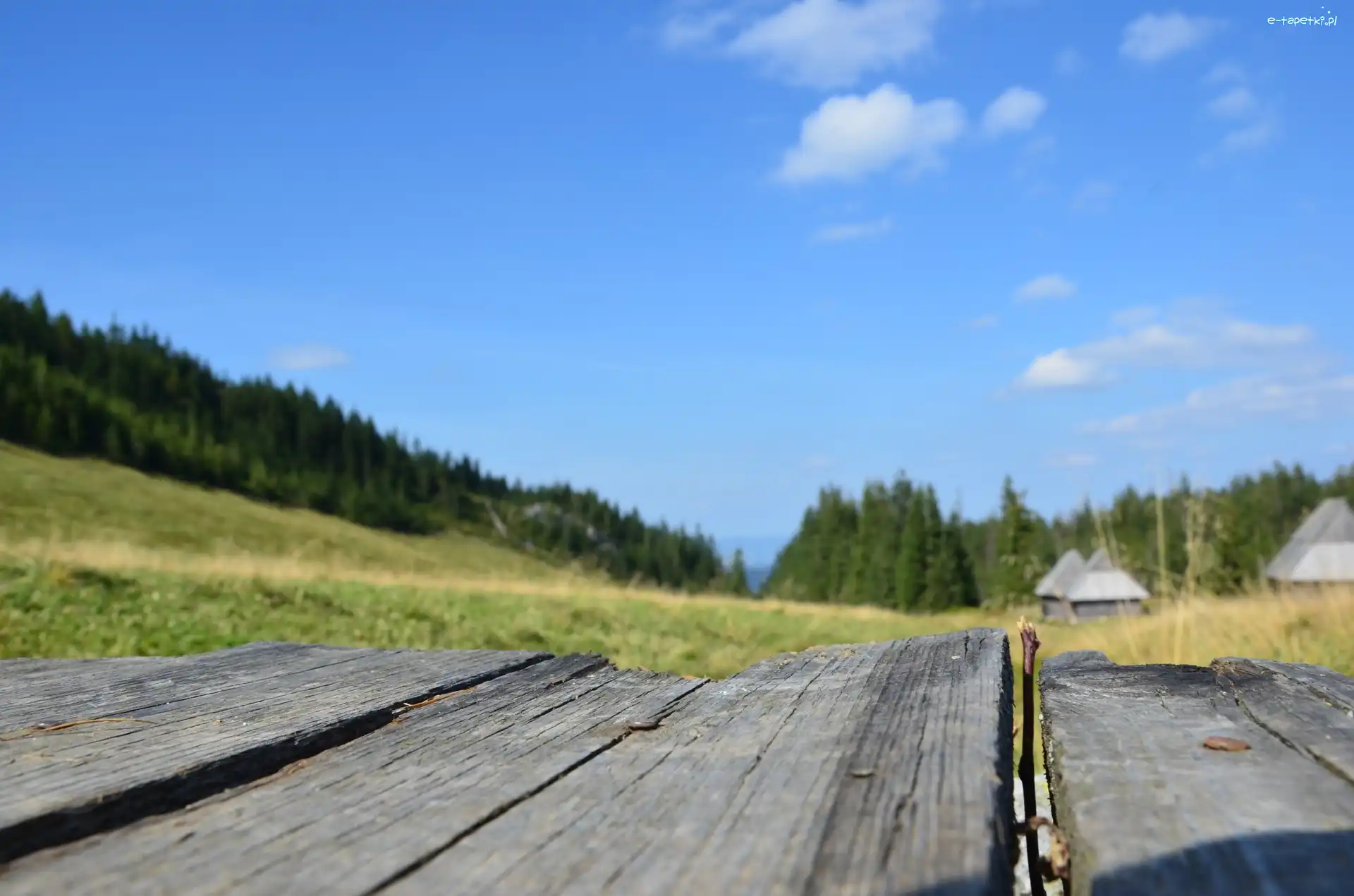 Łąka, Domki, Mostek, Zakopane