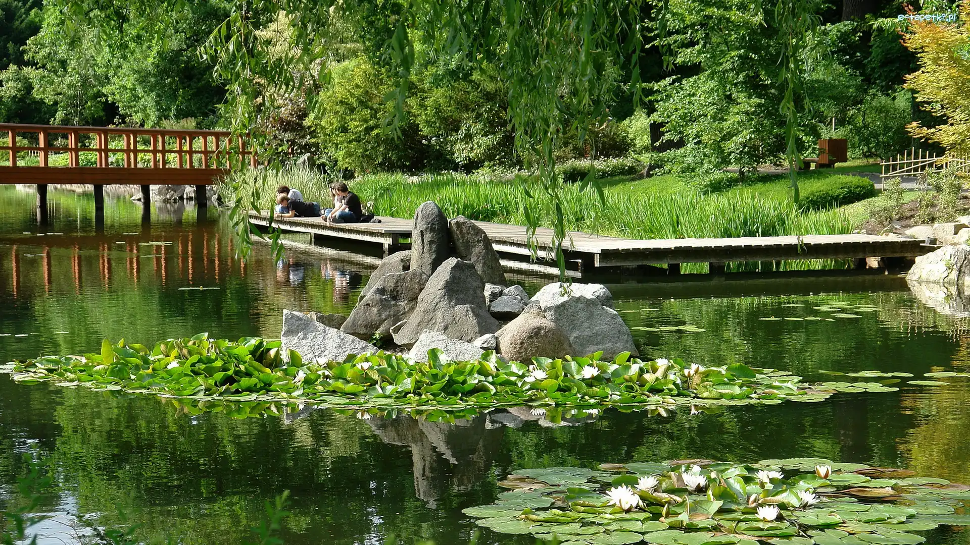 Park Szczytnicki, Wrocław, Japoński Ogród