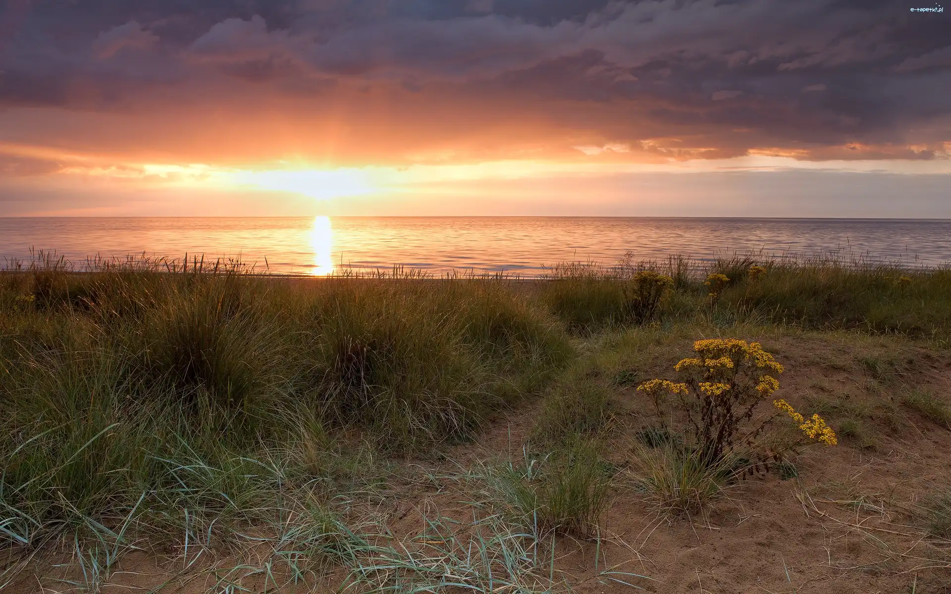 Słońca, Roślinność, Plaża, Zachód