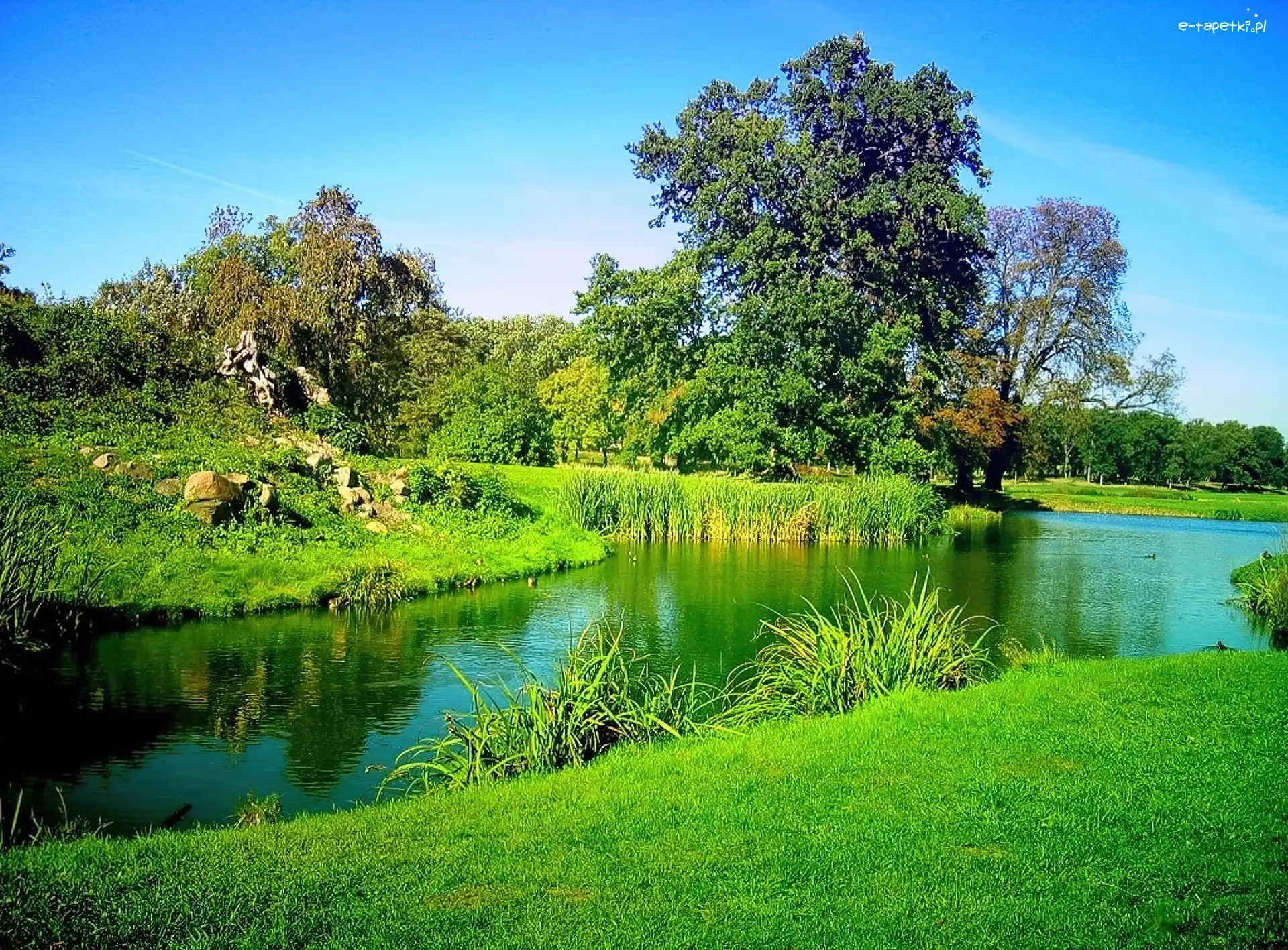Park, Rzeczka