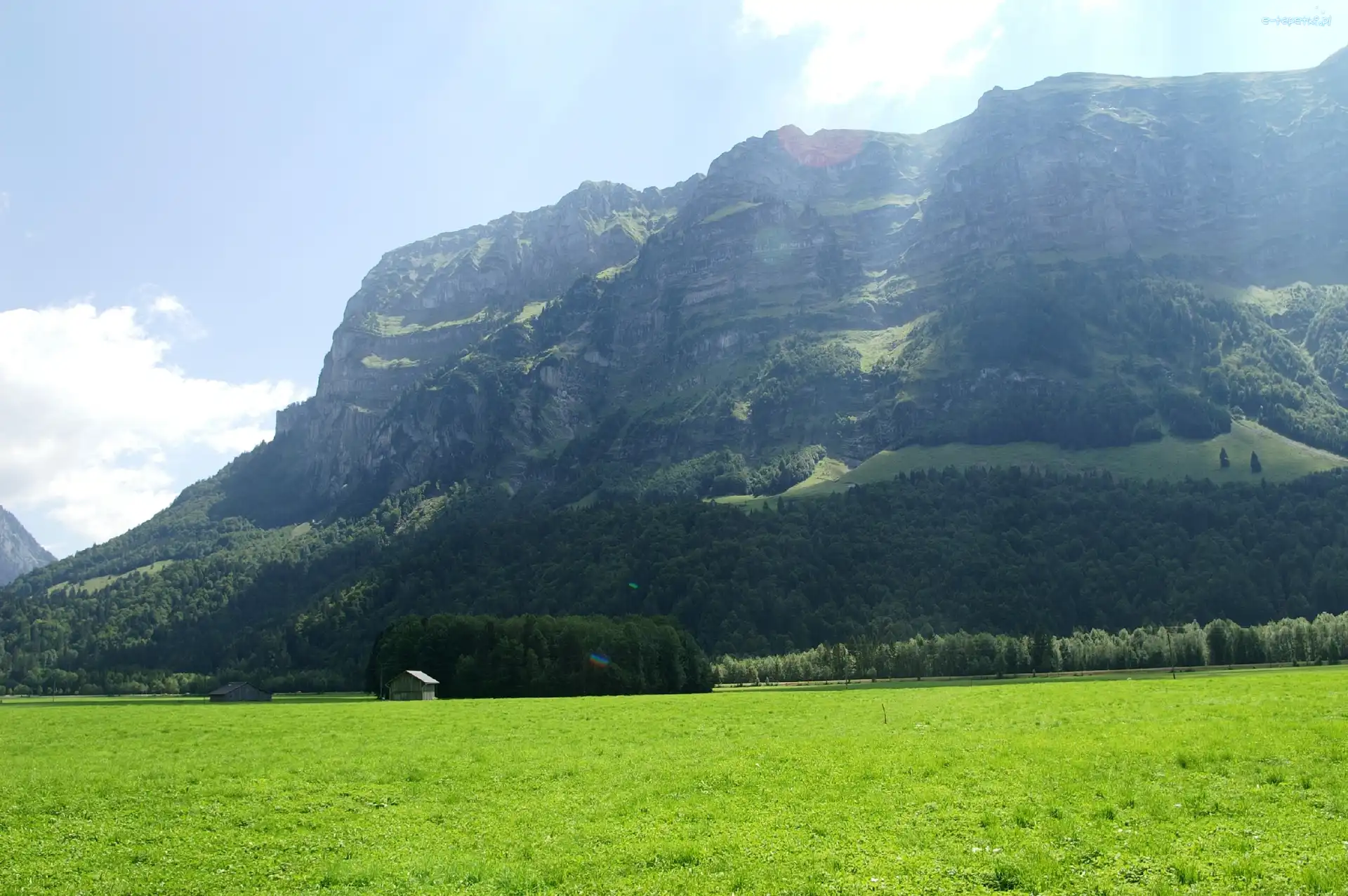 Drzewa, Góry, Łąka