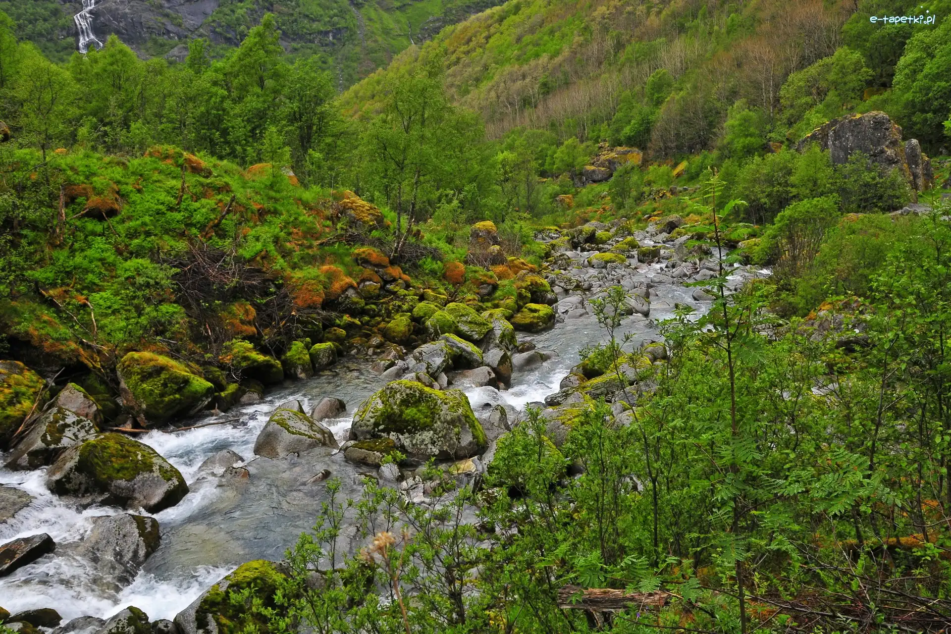Rzeczka, Krzewy, Kamienie, Górska