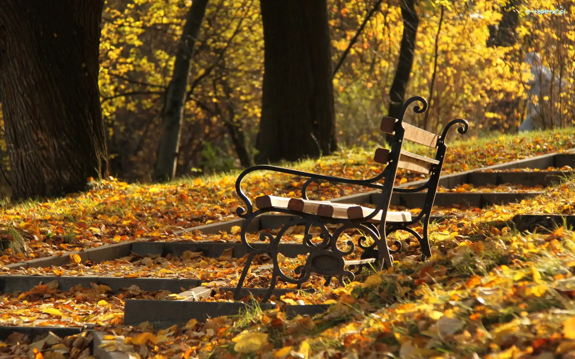 Ławka, Liście, Jesień, Park