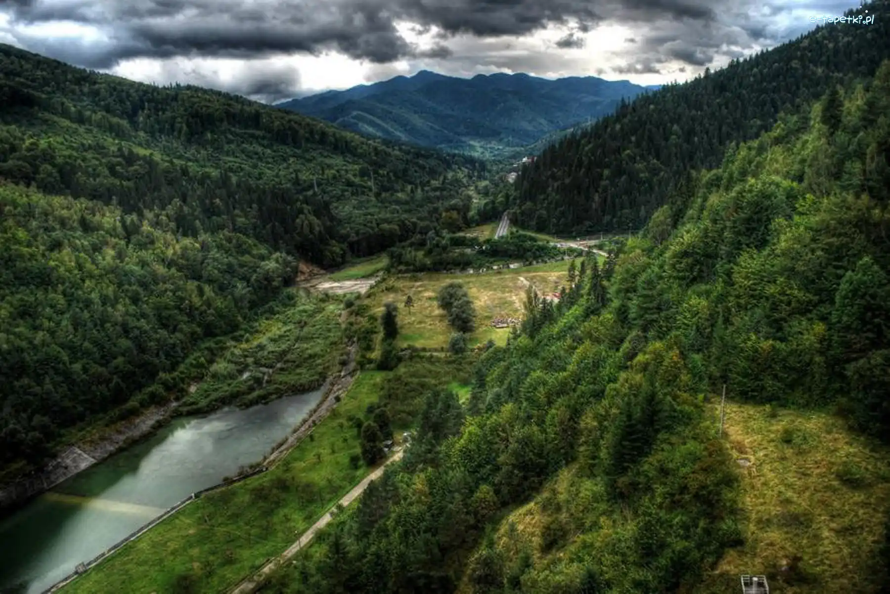 Góry, Lasy