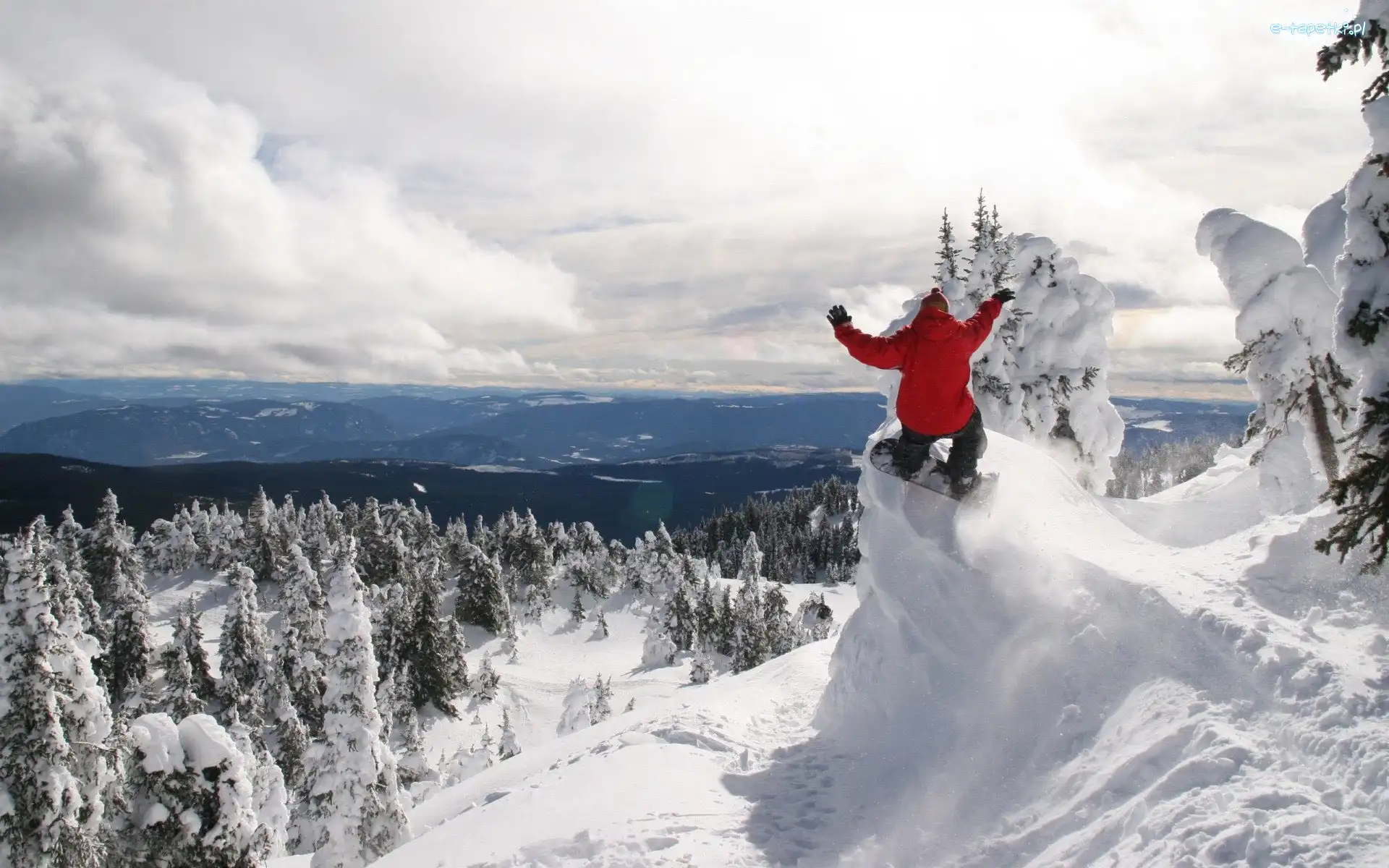 Snowboarding, Góry, Ośnieżone, Las, Śnieg