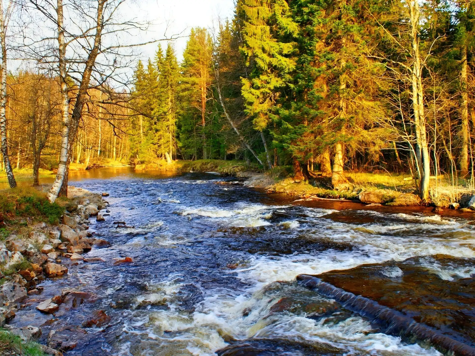 Jesień, Rzeka, Las