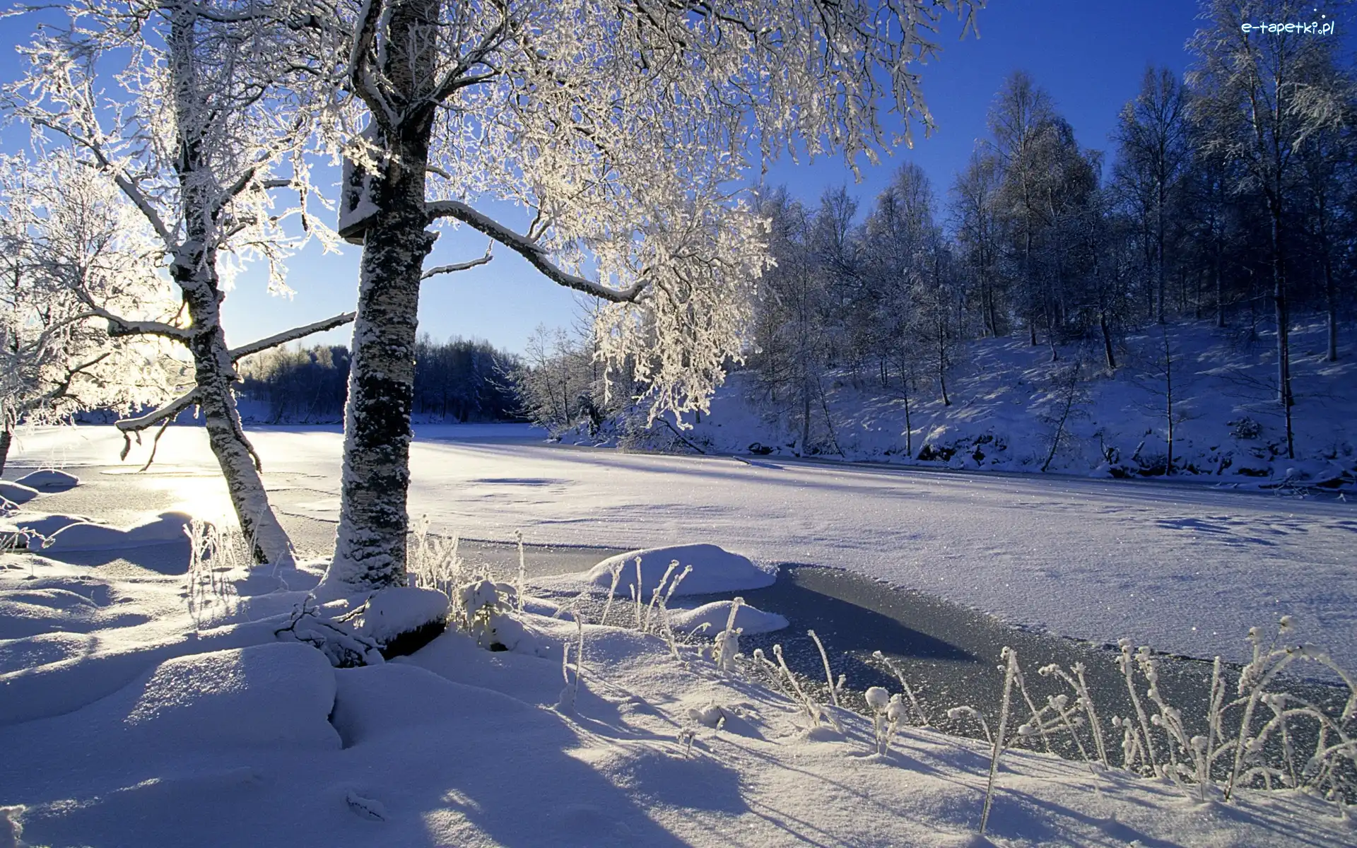 Śnieg, Drzewa, Rzeka