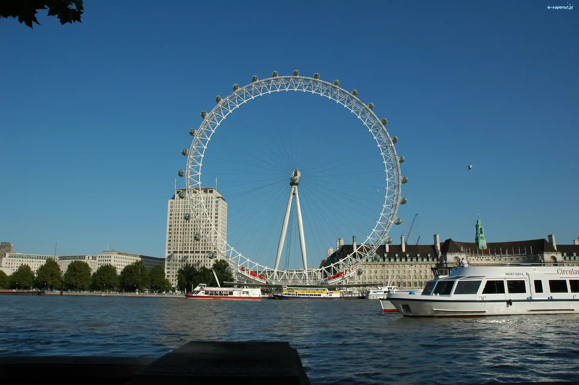 Rzeka, Statek, Tamiza, Londyn, London Eye