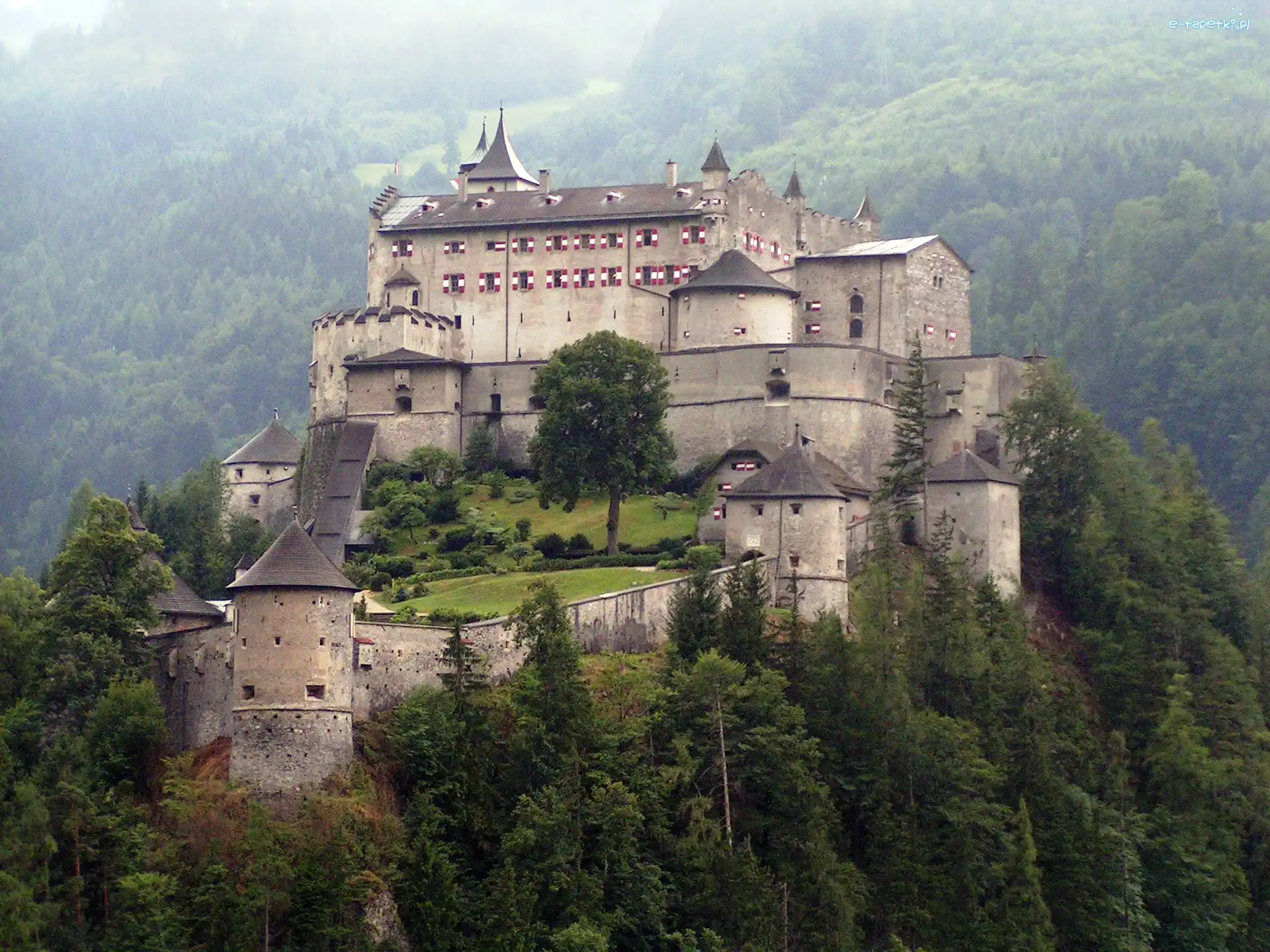 Zamek, Austria, Hohenwerfen, Góry, Zalesione