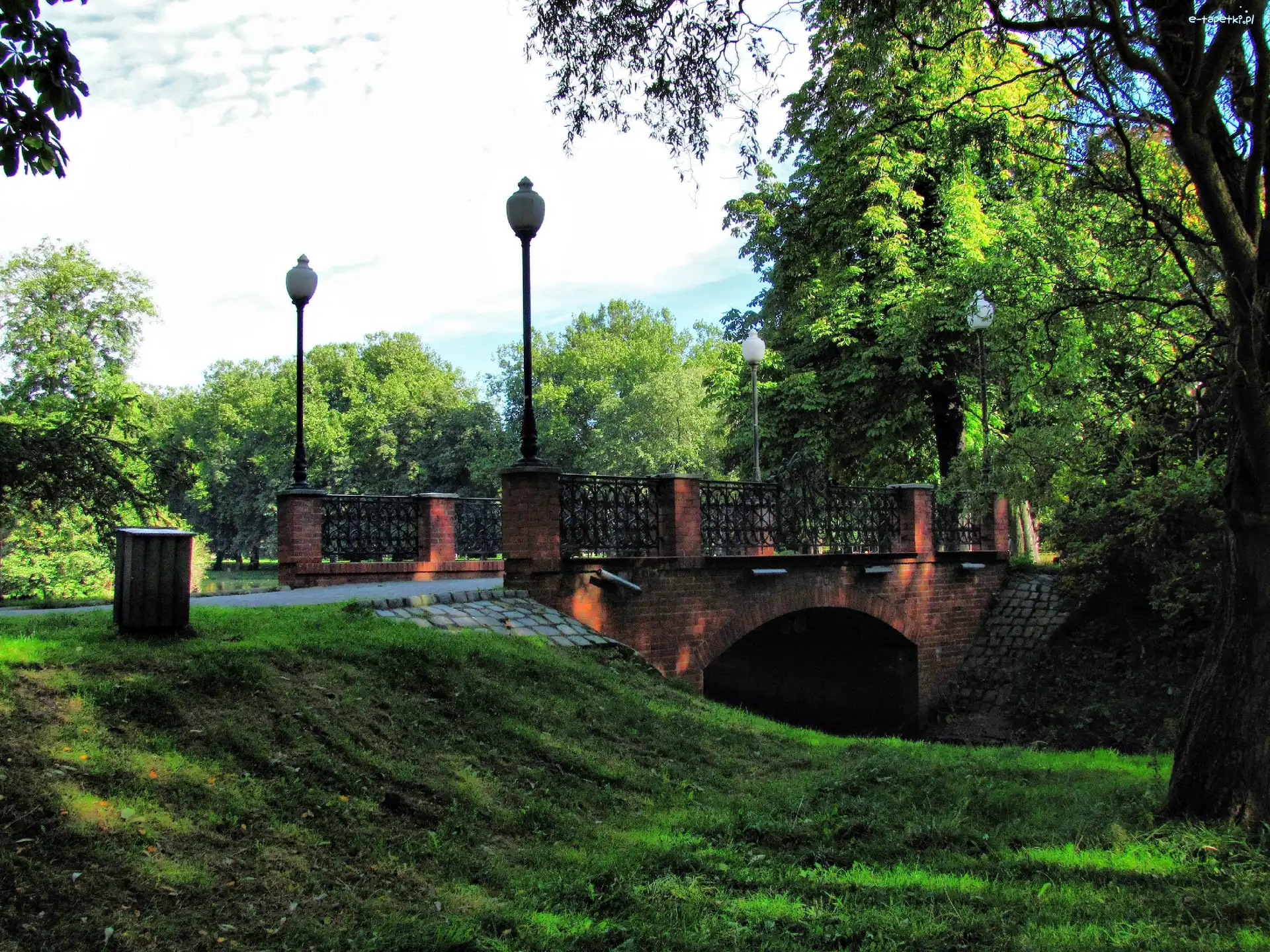 Drzewa, Mostek, Park