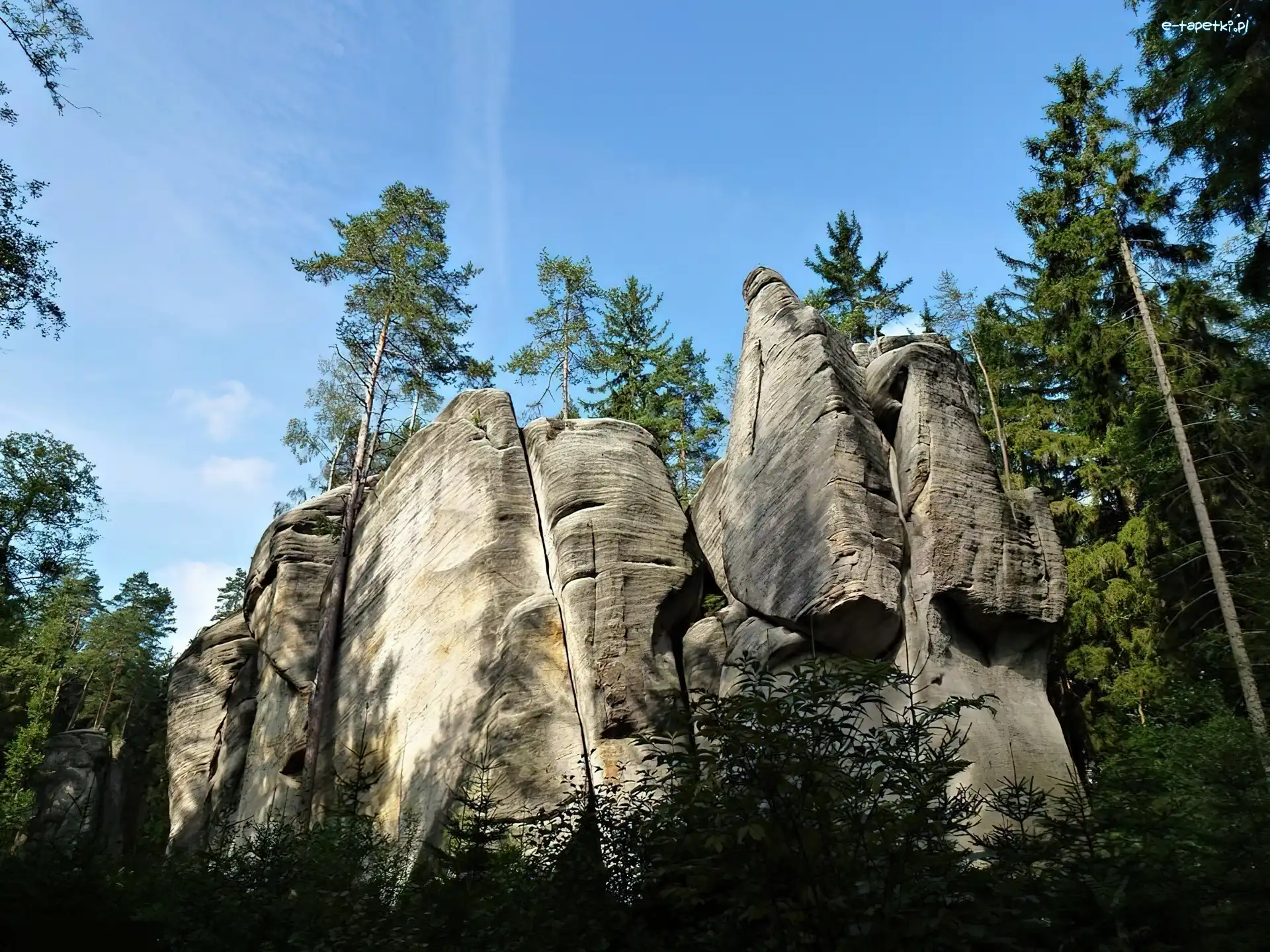 Drzewa, Czechy, Adrspach, Skały