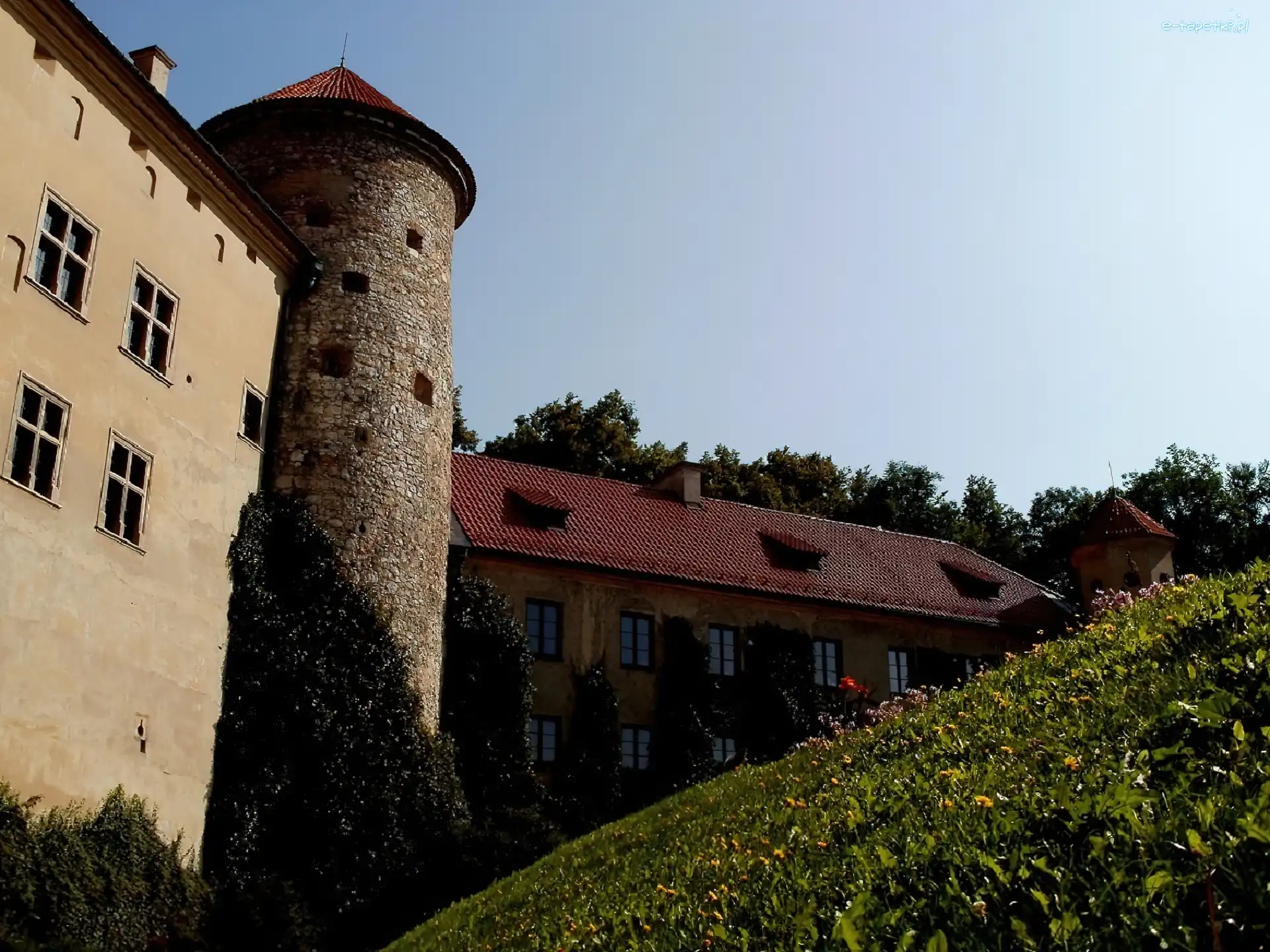 Lato, Łąka, Zamek, Krajobraz
