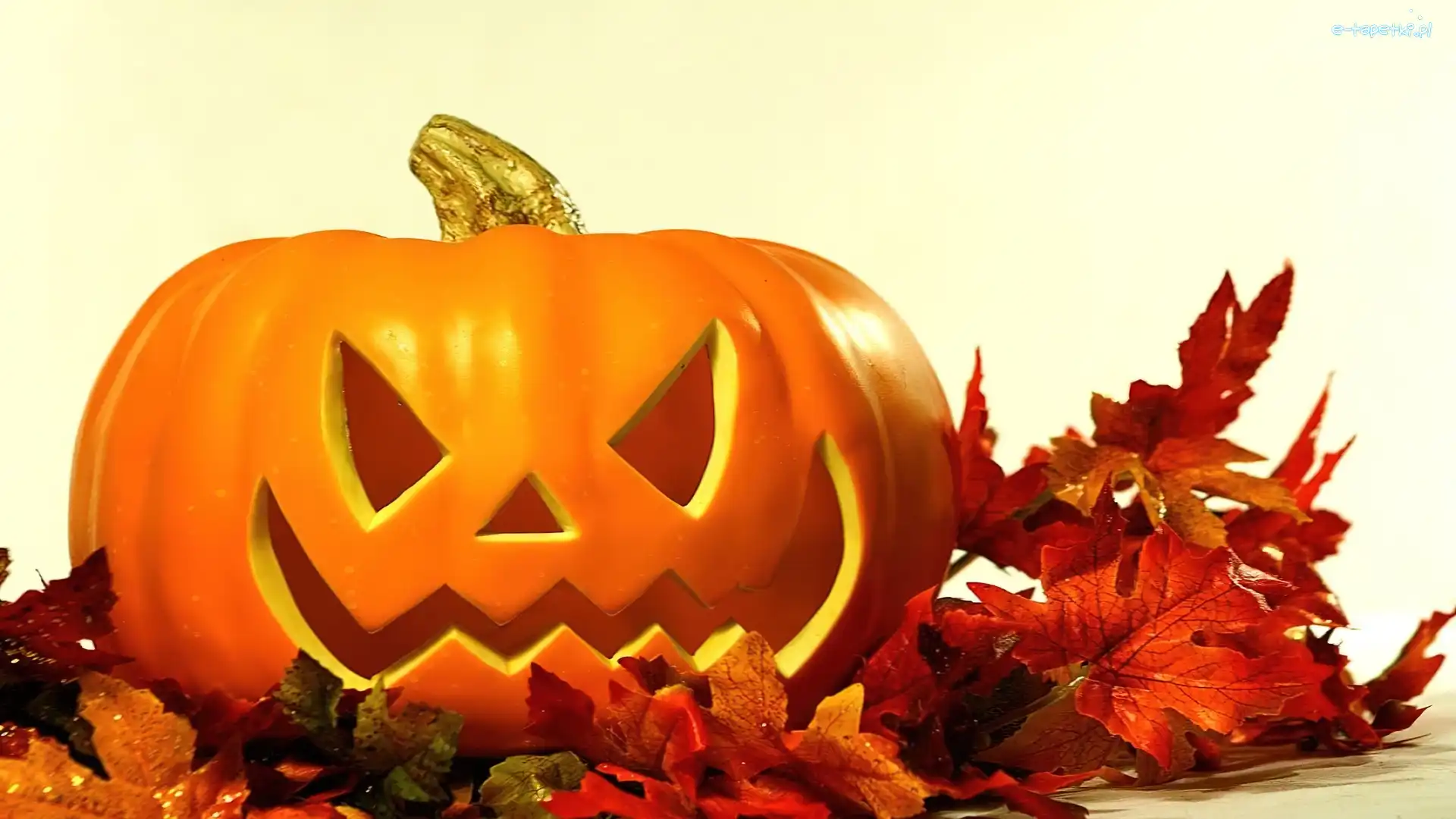 Halloween, Liście, Dynia