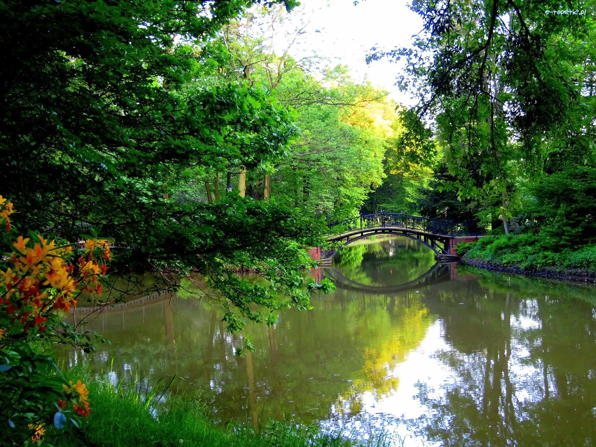 Park, Woda, Most, Krajobraz