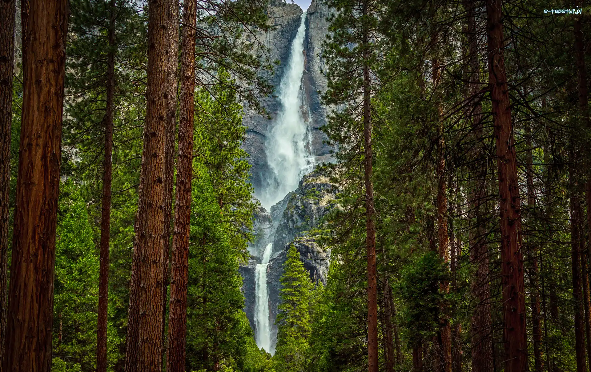 Wodospad Upper Yosemite Fall, Kalifornia, Kalifornijski, Stany Zjednoczone, Park Narodowy Yosemite, Drzewa, Las, Stany Zjednoczone