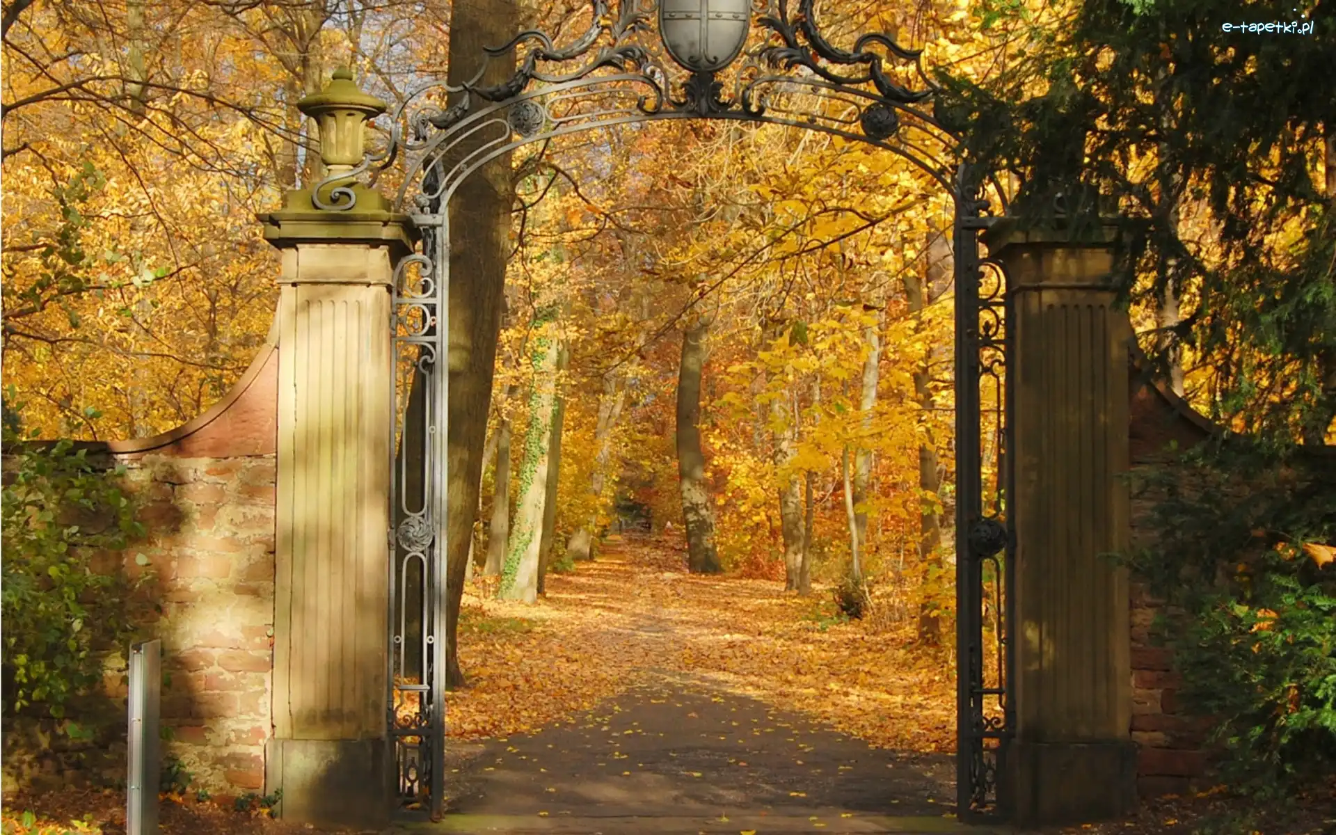 Park, Liście, Drzewa, Jesień, Brama