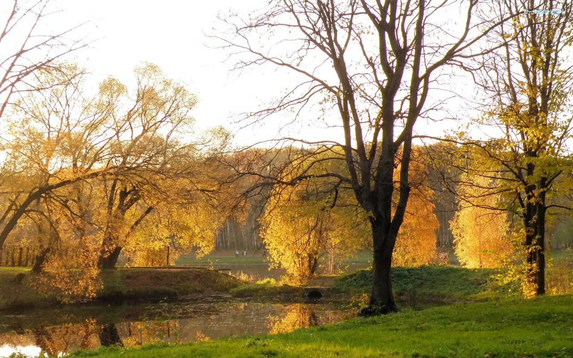 Rzeka, Jesień, Drzewa, Park