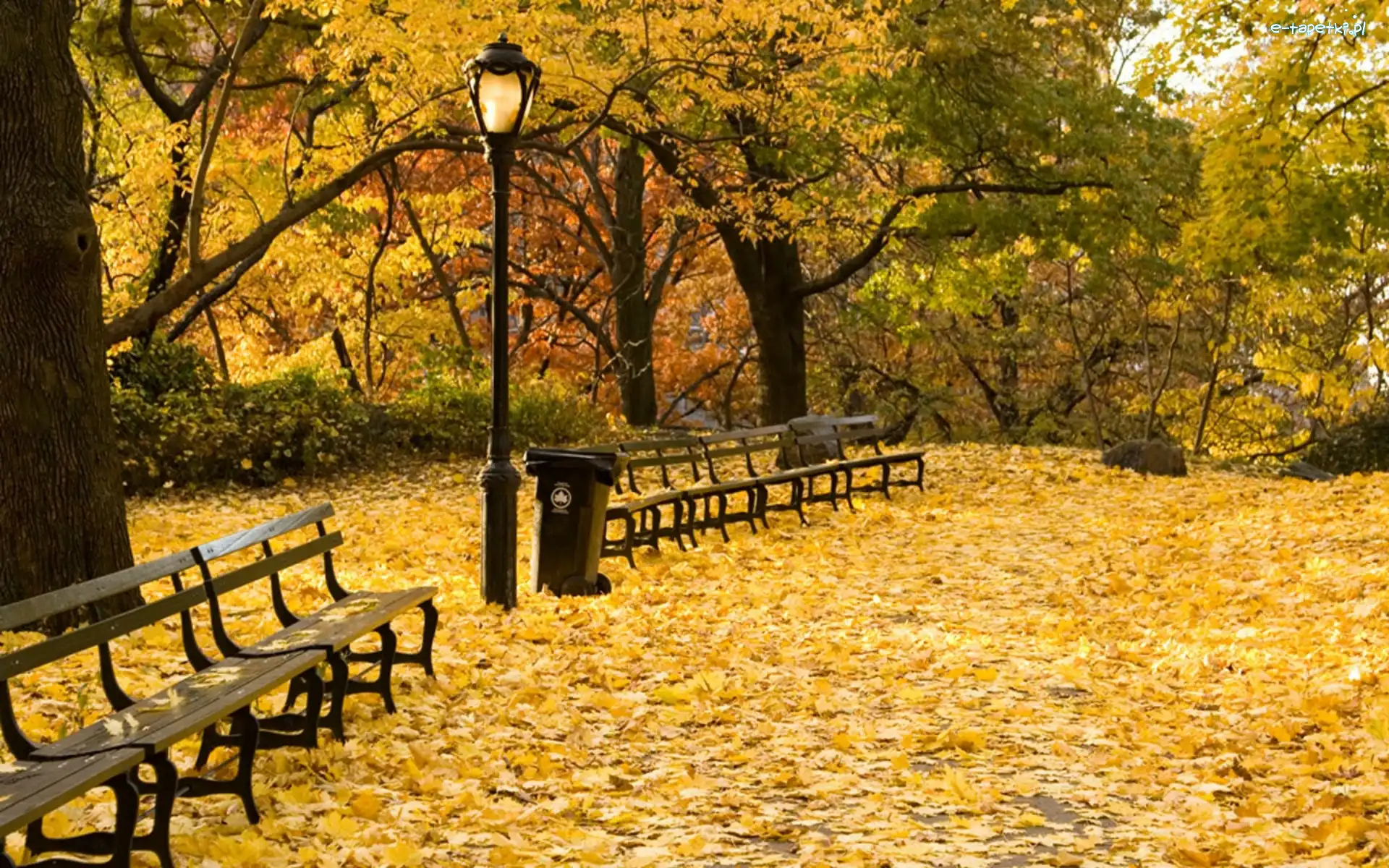Ławki, Jesień, Liście, Park