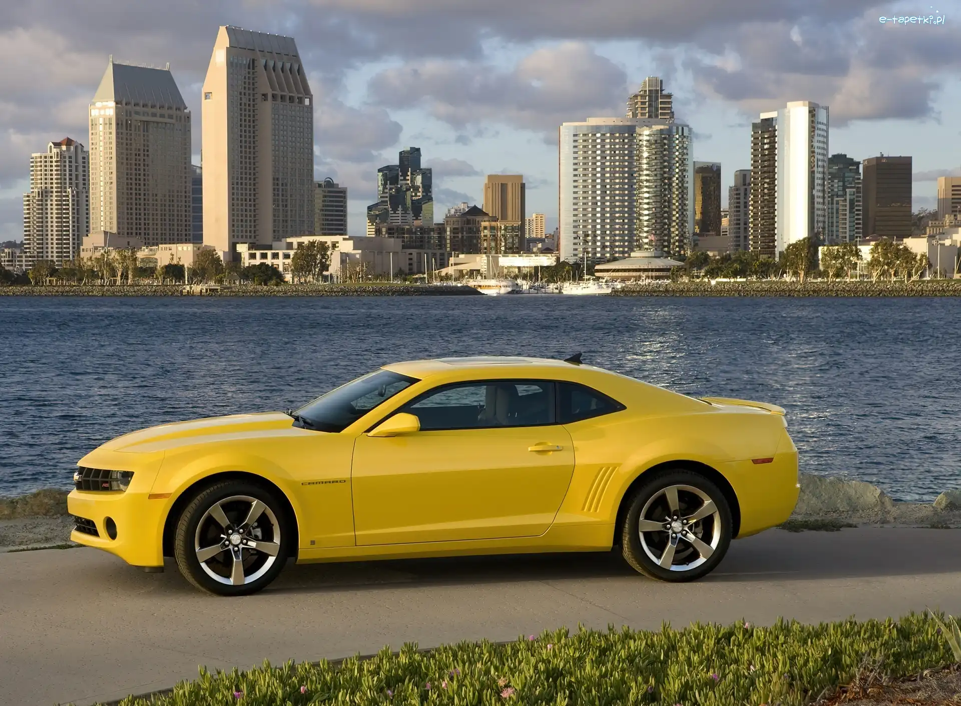 Chevrolet Camaro, Żółty
