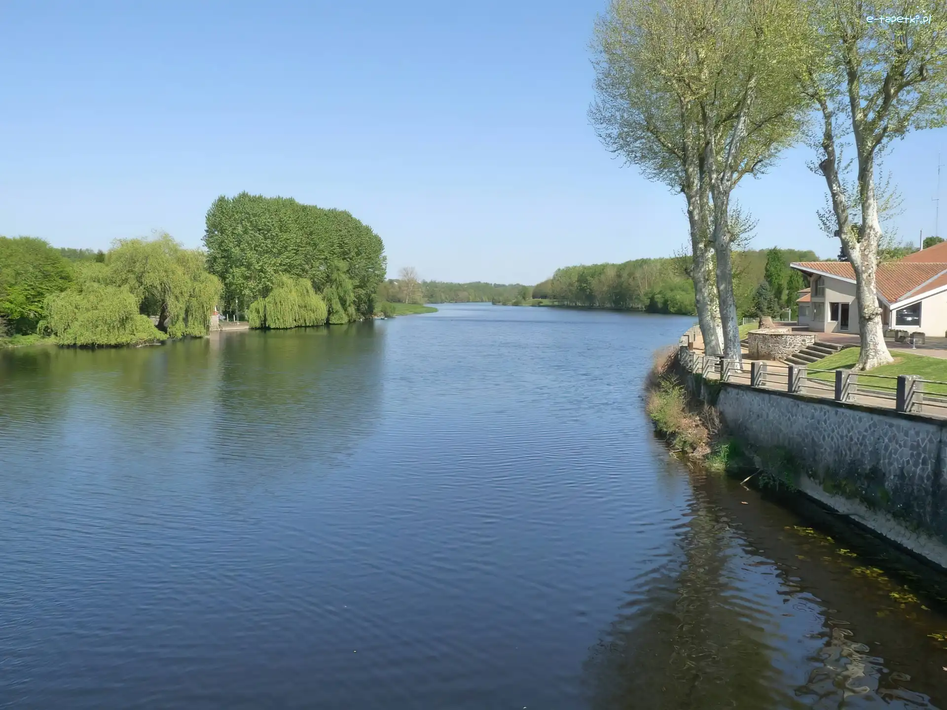Drzewa, Francja, Vienne, Rzeka