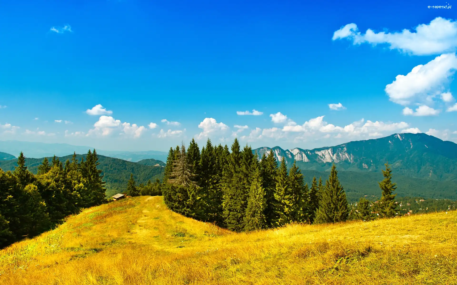 Jesień, Lasy, Góry