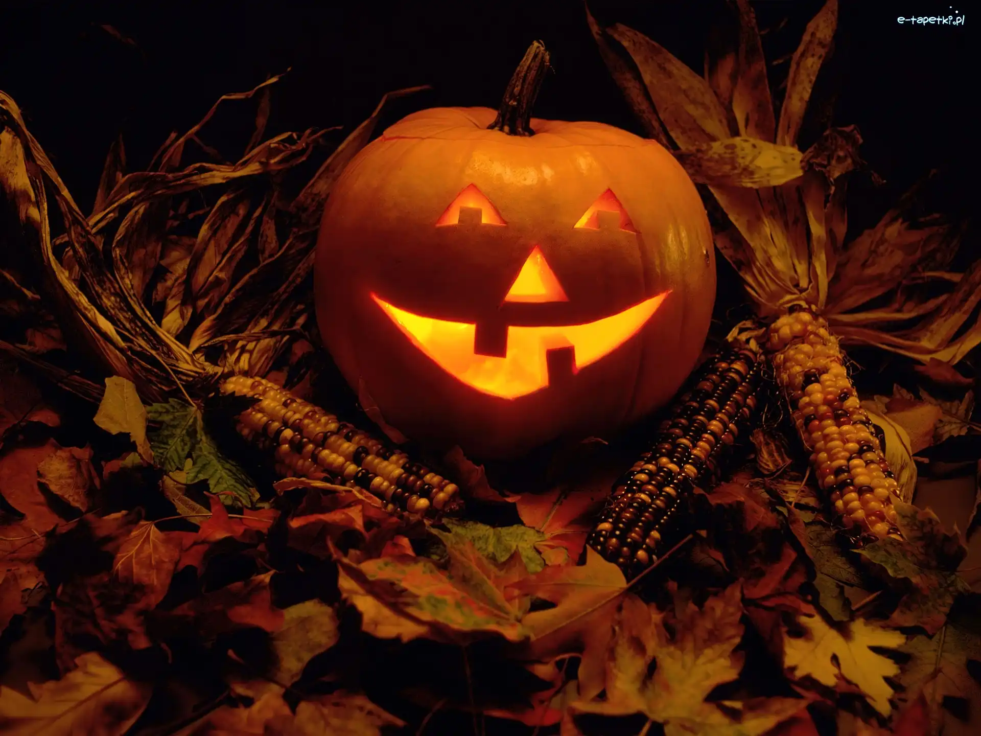 Halloween, Dynia, Podświetlona