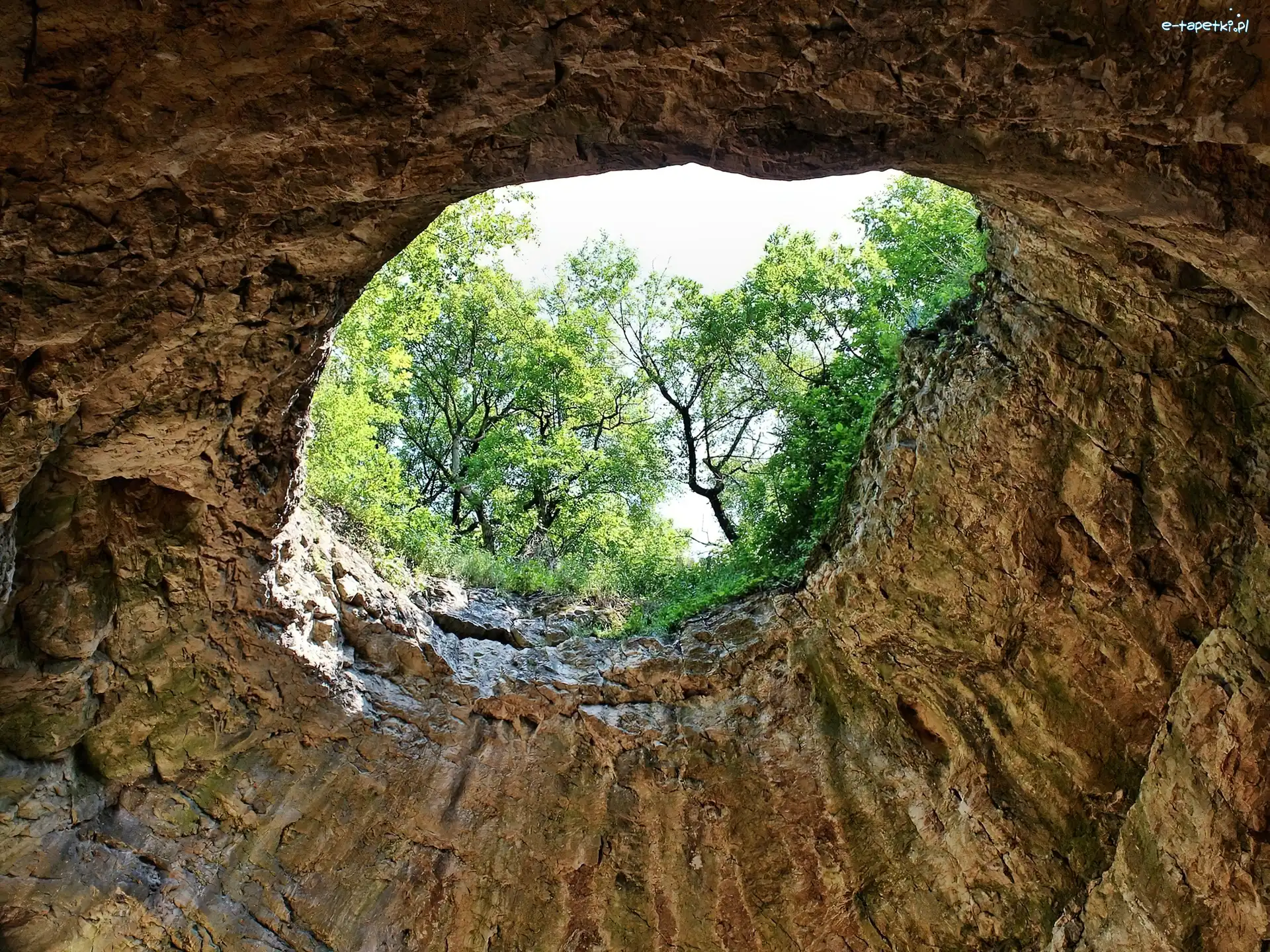 Drzewa, Otwór, Jaskinia