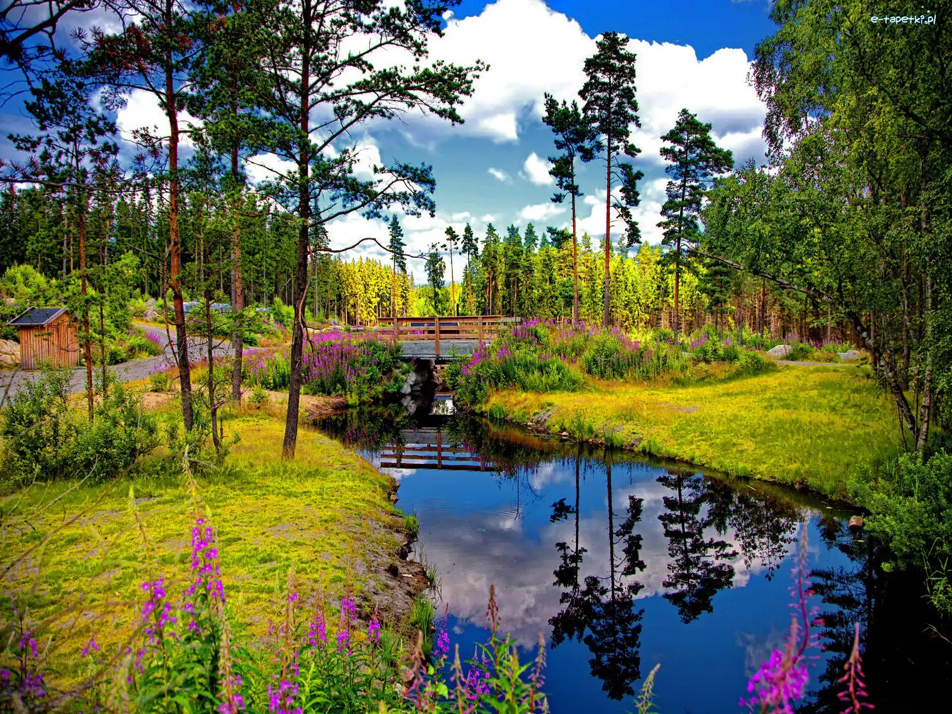 Rzeczka, Mostek, Park