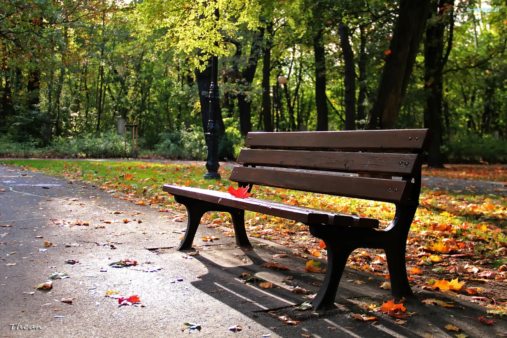Ławka, Liść, Czerwony, Park