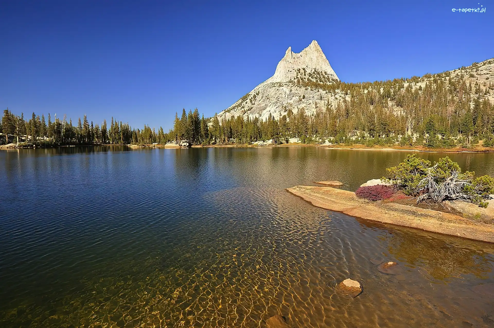 Góra Cathedral Peak, Park Narodowy Yosemite, Jezioro, Drzewa, Stan Kalifornia, Stany Zjednoczone