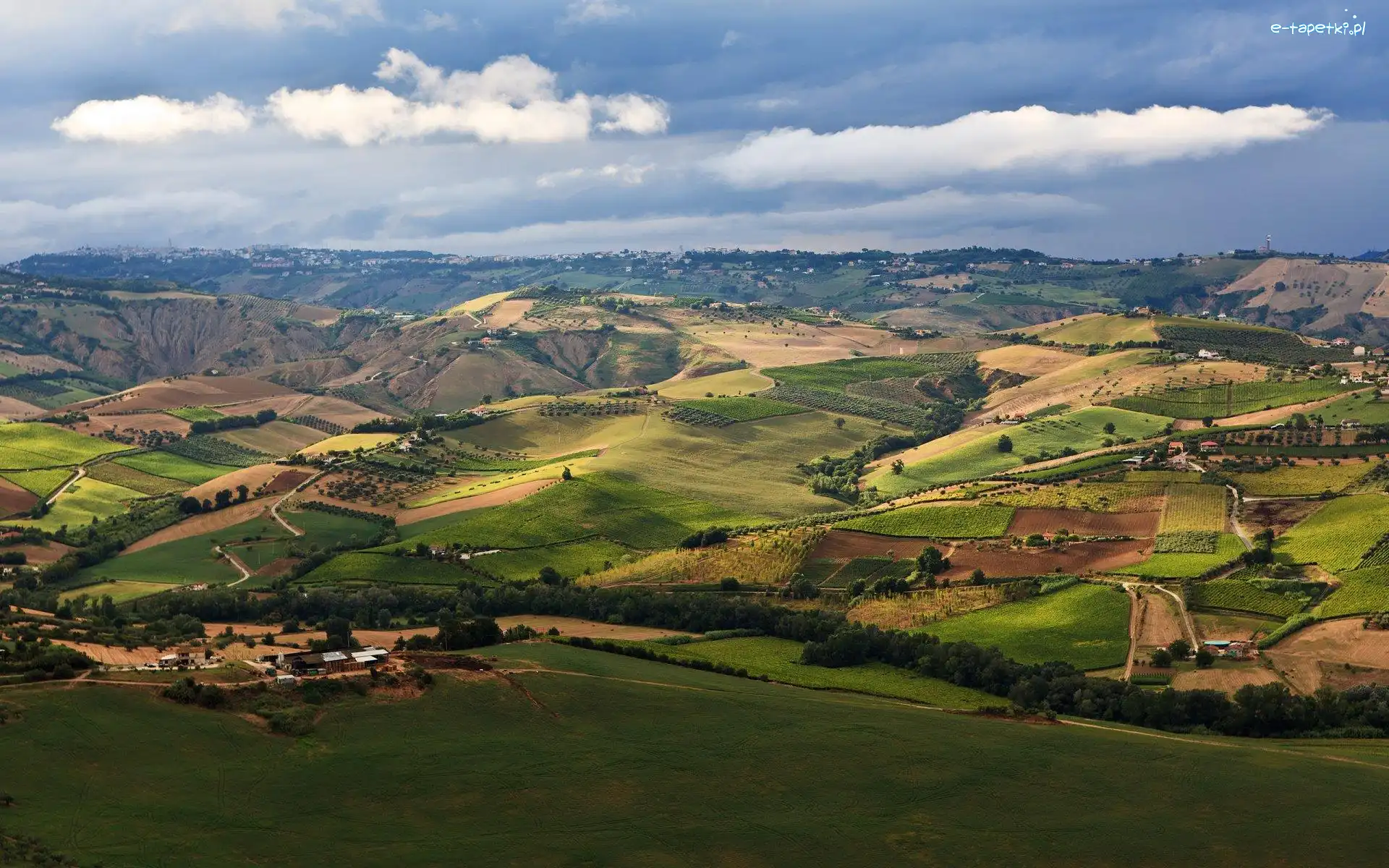 Wyżyny, Uprawne, Pola