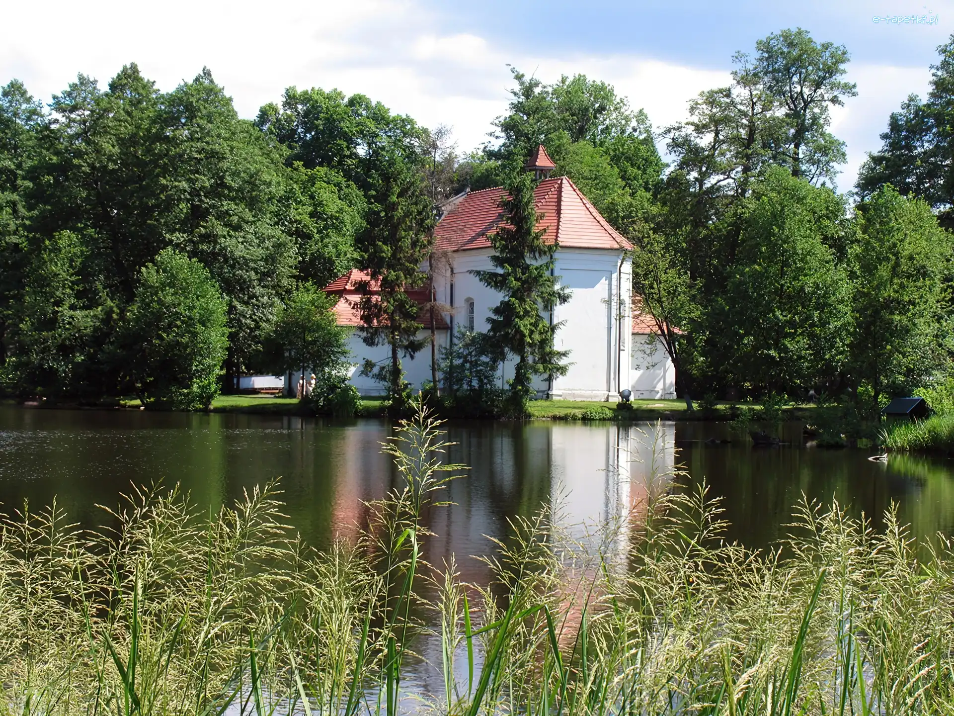 Drzewa, Polska, Zwierzyniec, Kościół