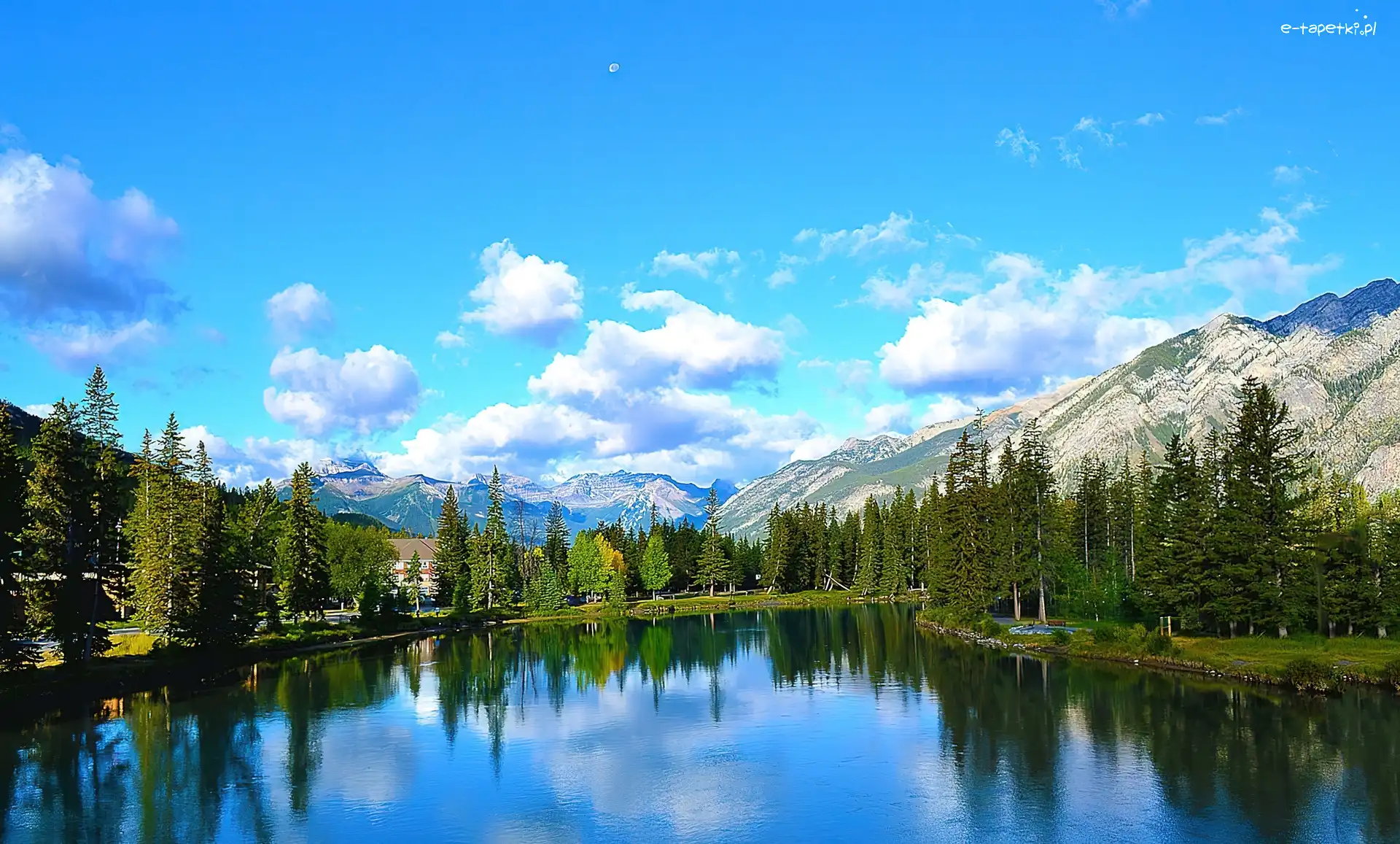 Rzeka, Drzewa, Góry, Kanada, Alberta