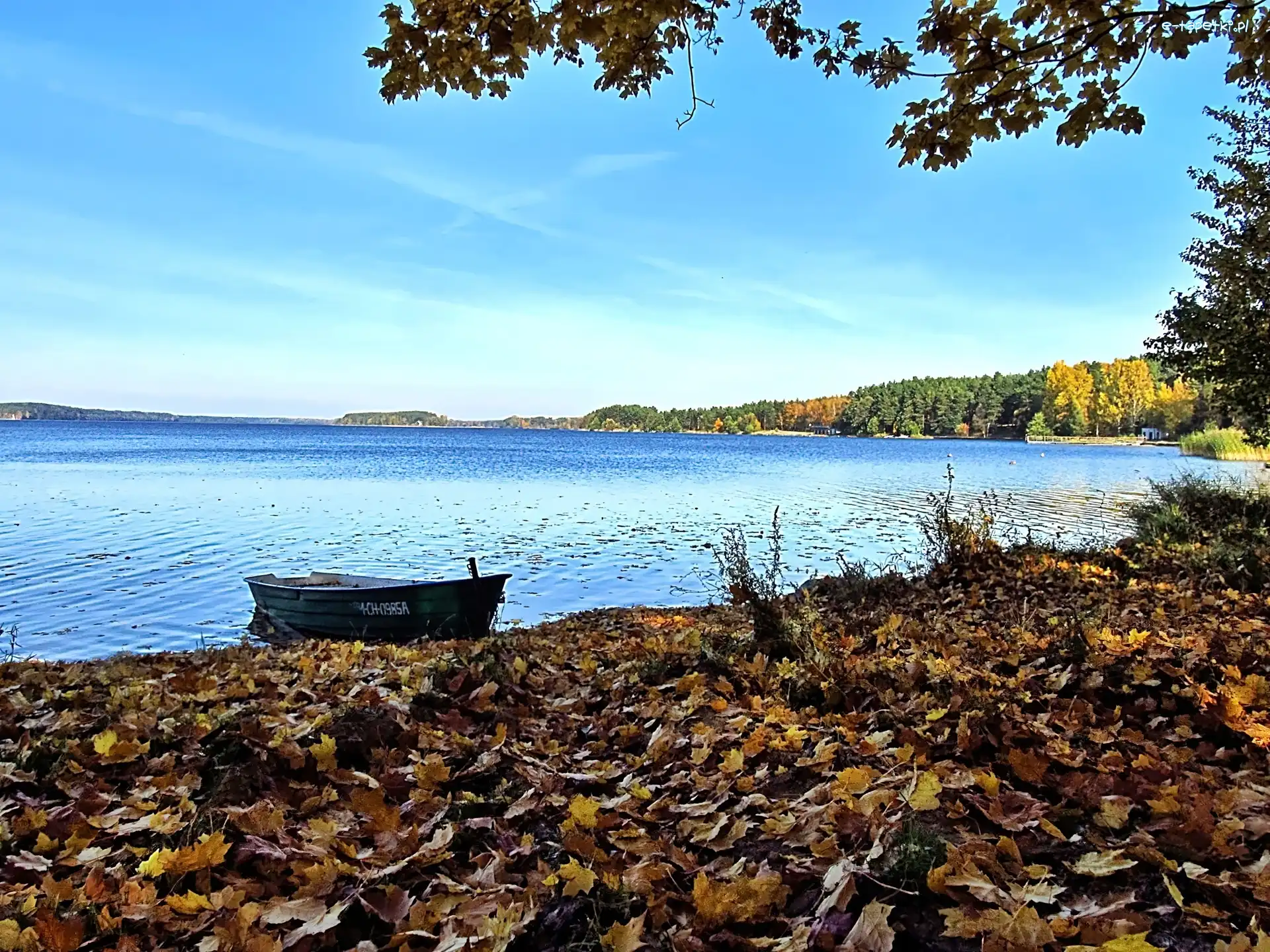 Niebo, Jezioro, Łódka, Klon, Liście, Jesień