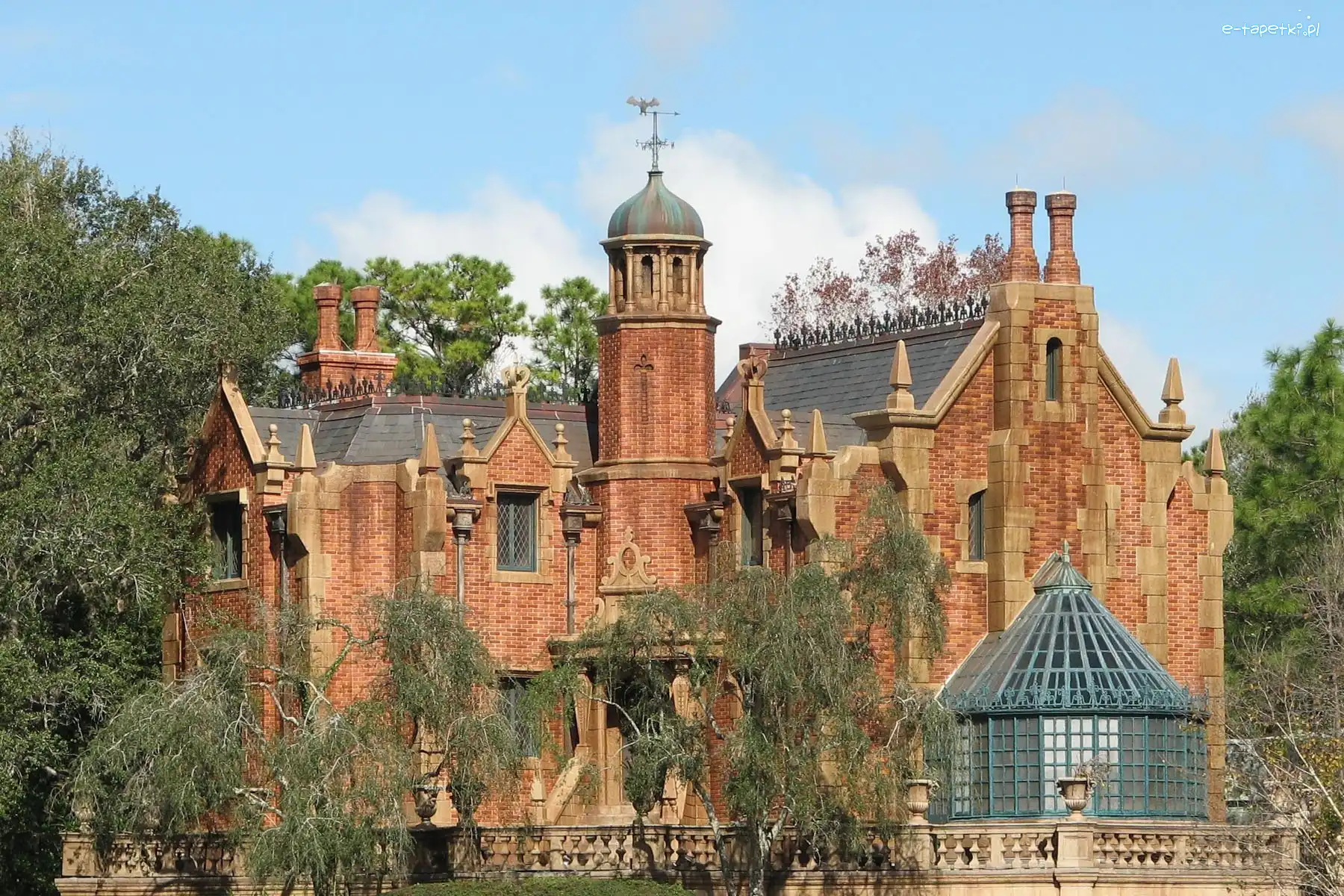 Zamek, Park, Disney