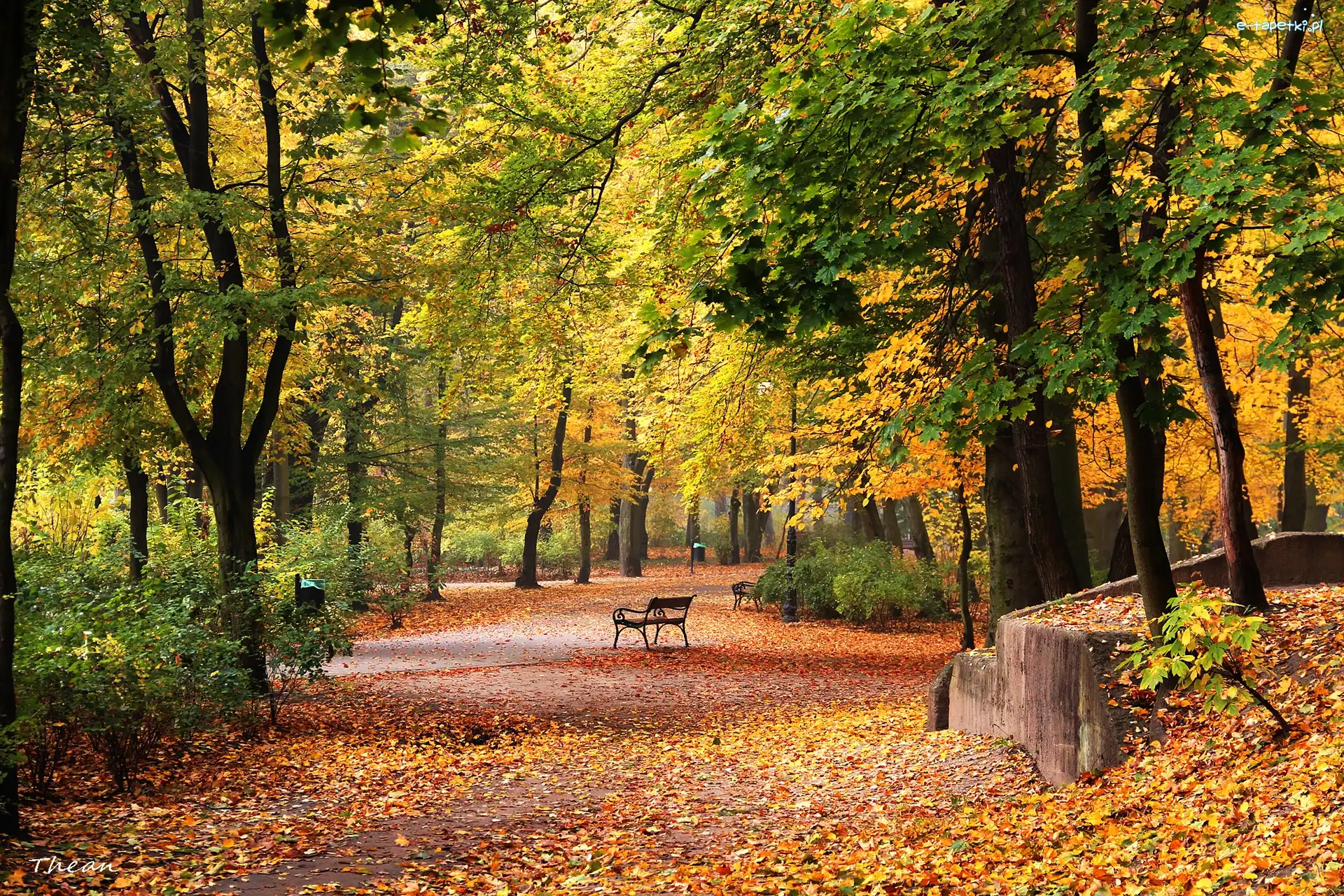 Jesień, Aleja, Ławki, Park